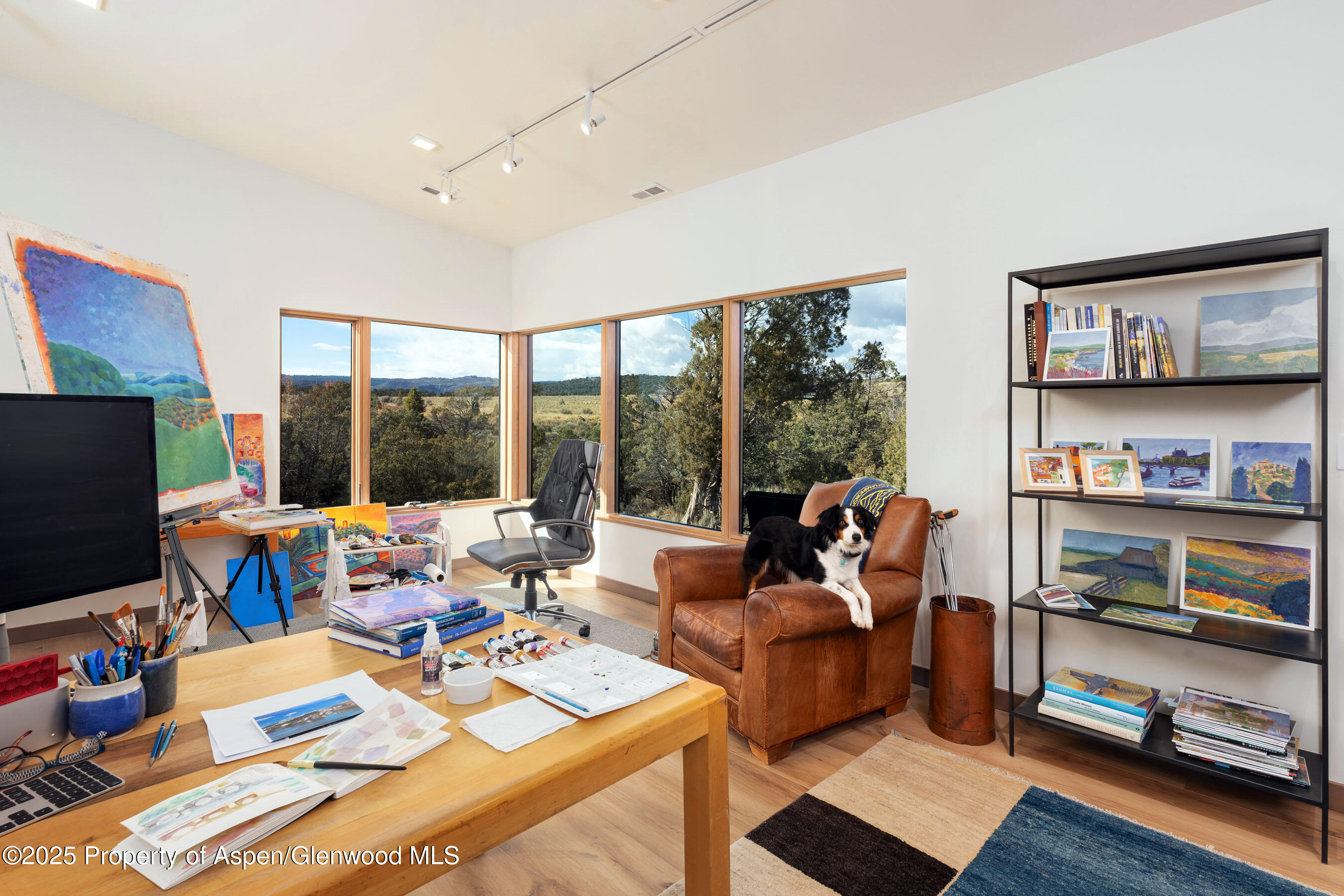 2685 Elk Springs Drive Glenwood Springs CO 81601