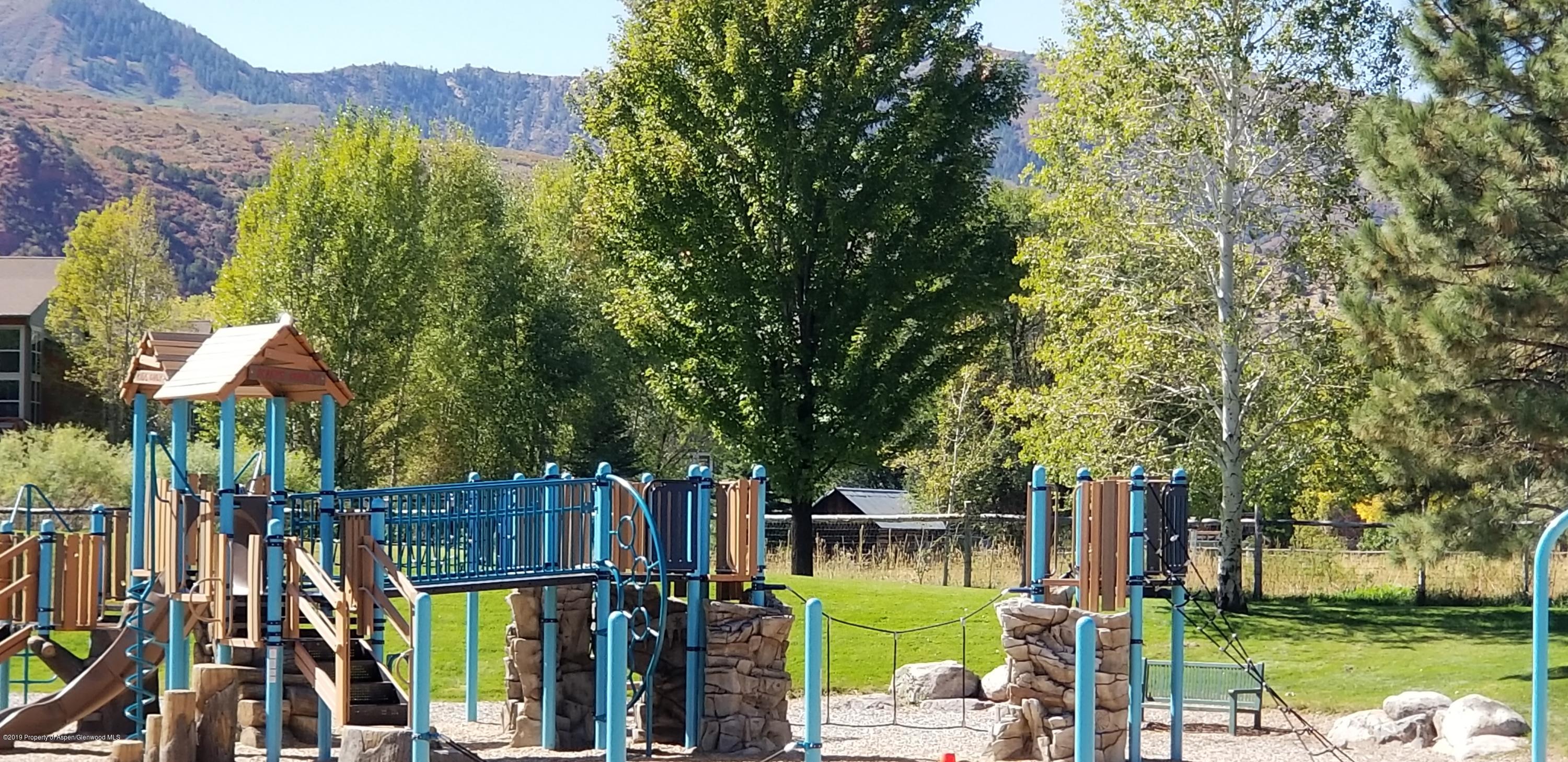131 Valley Court Basalt CO 81621