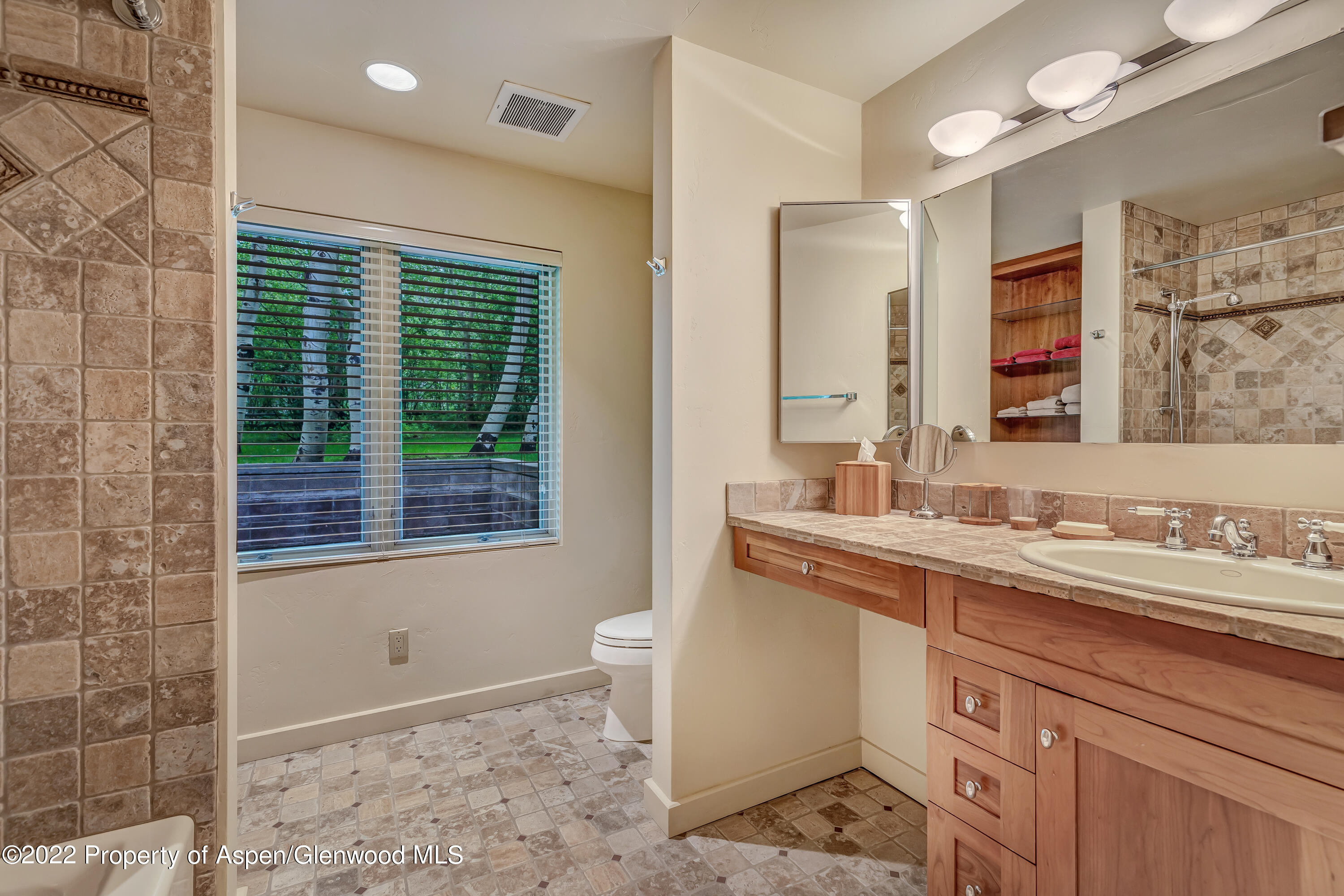 332 Glen Eagles Drive Aspen CO 81611
