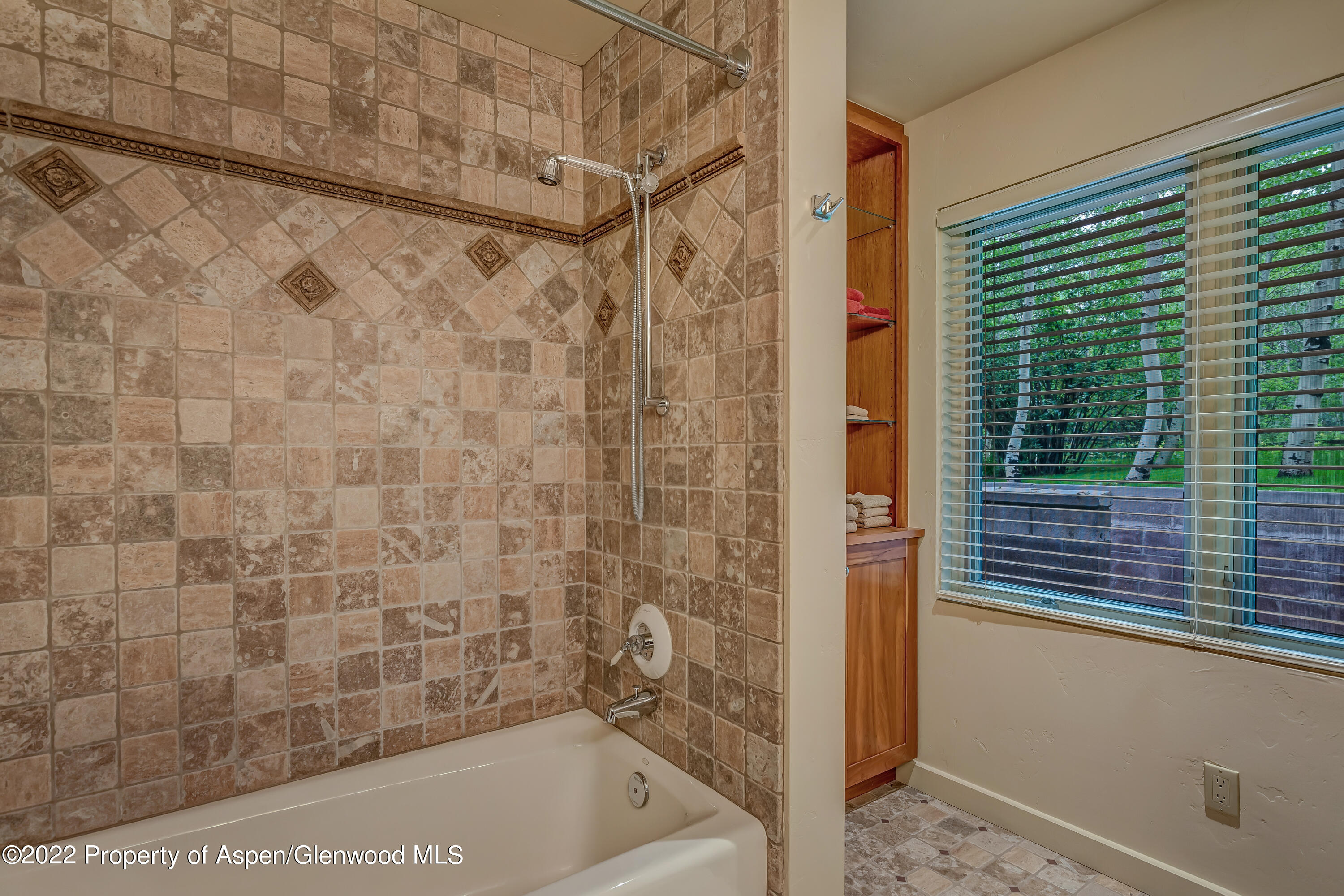 332 Glen Eagles Drive Aspen CO 81611
