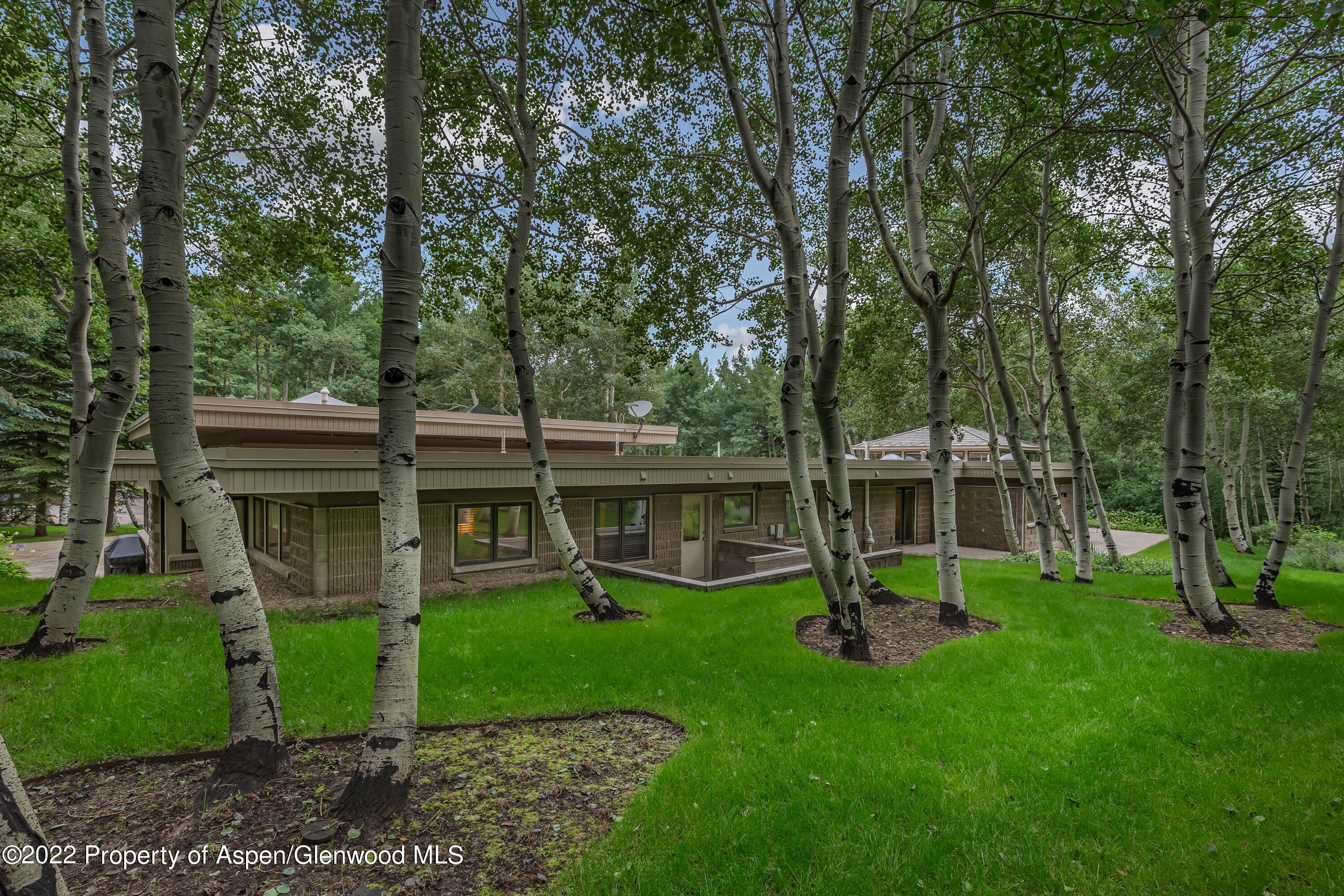 332 Glen Eagles Drive Aspen CO 81611