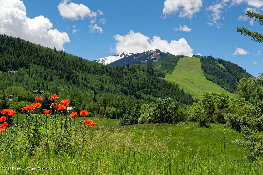 188 Meadowood Drive Aspen CO 81611