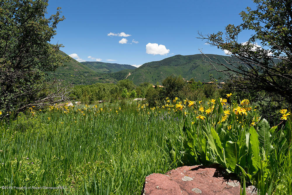 188 Meadowood Drive Aspen CO 81611