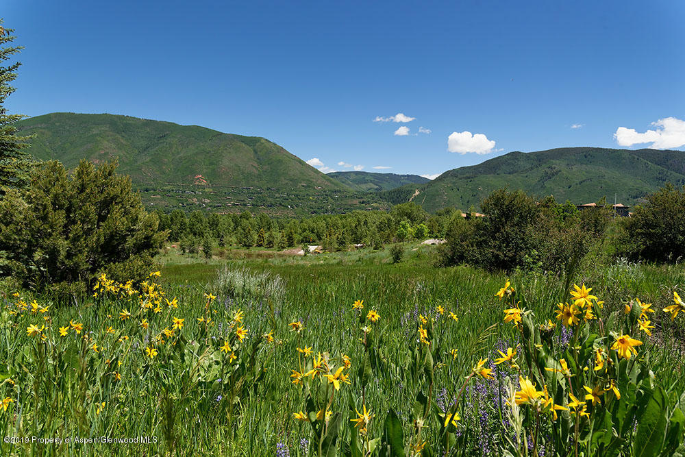 188 Meadowood Drive Aspen CO 81611