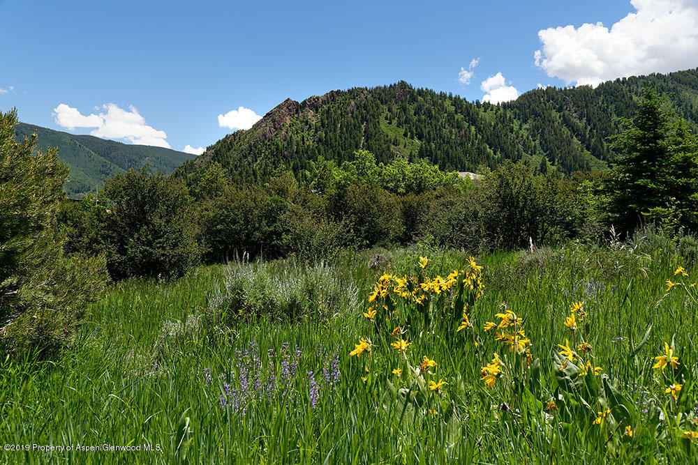 188 Meadowood Drive Aspen CO 81611