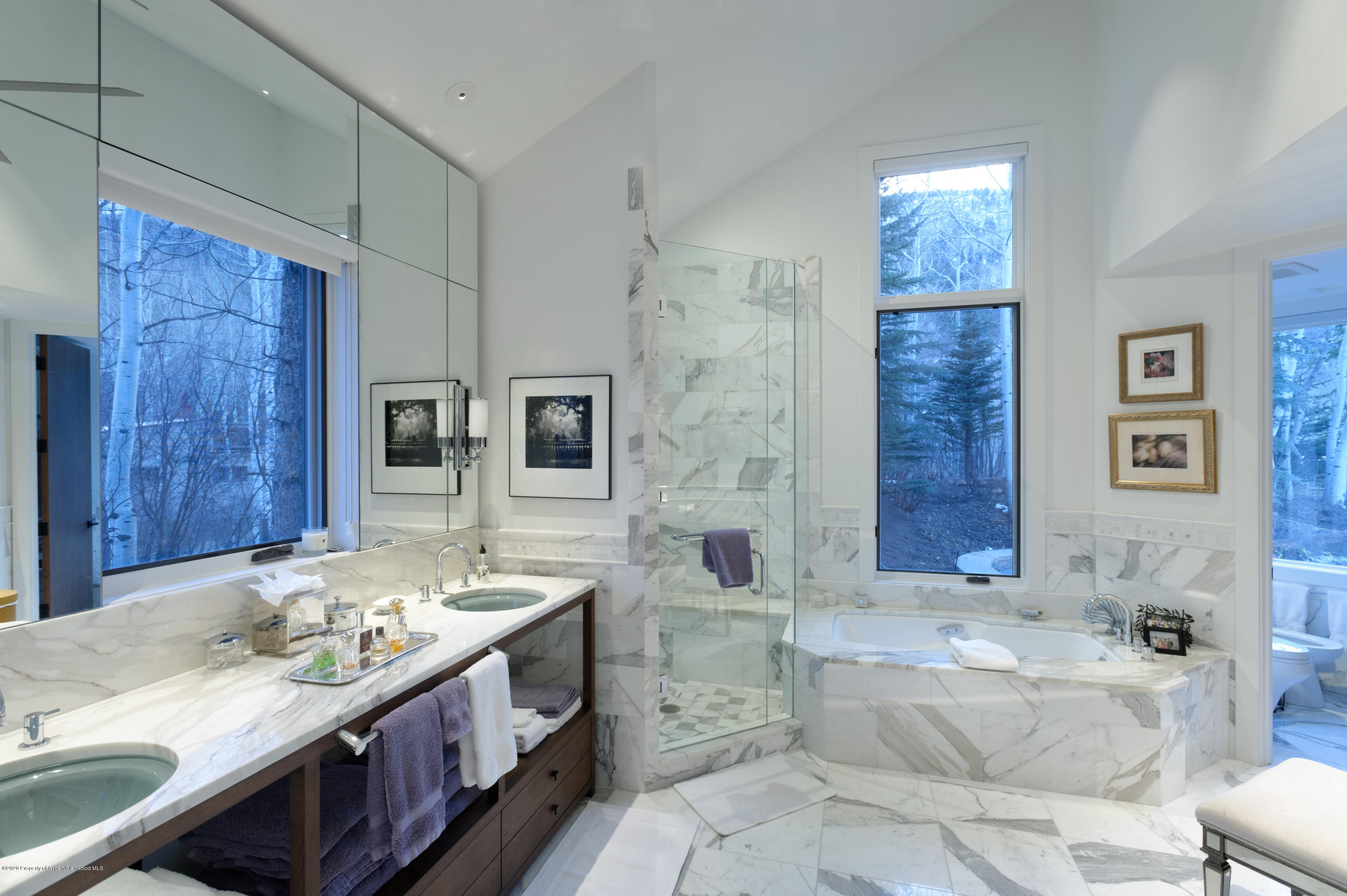 205 Roaring Fork Drive Aspen CO 81611