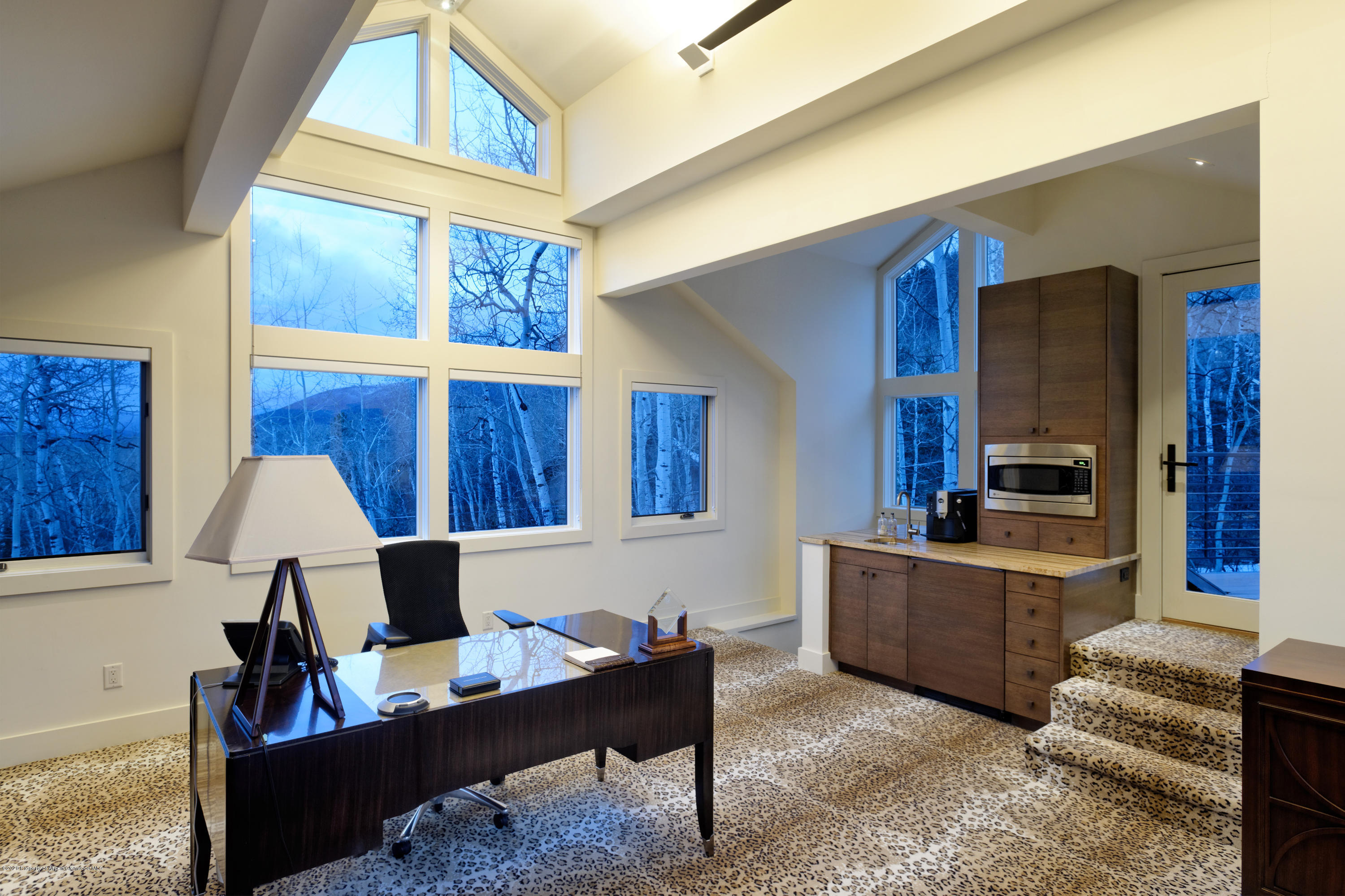 205 Roaring Fork Drive Aspen CO 81611