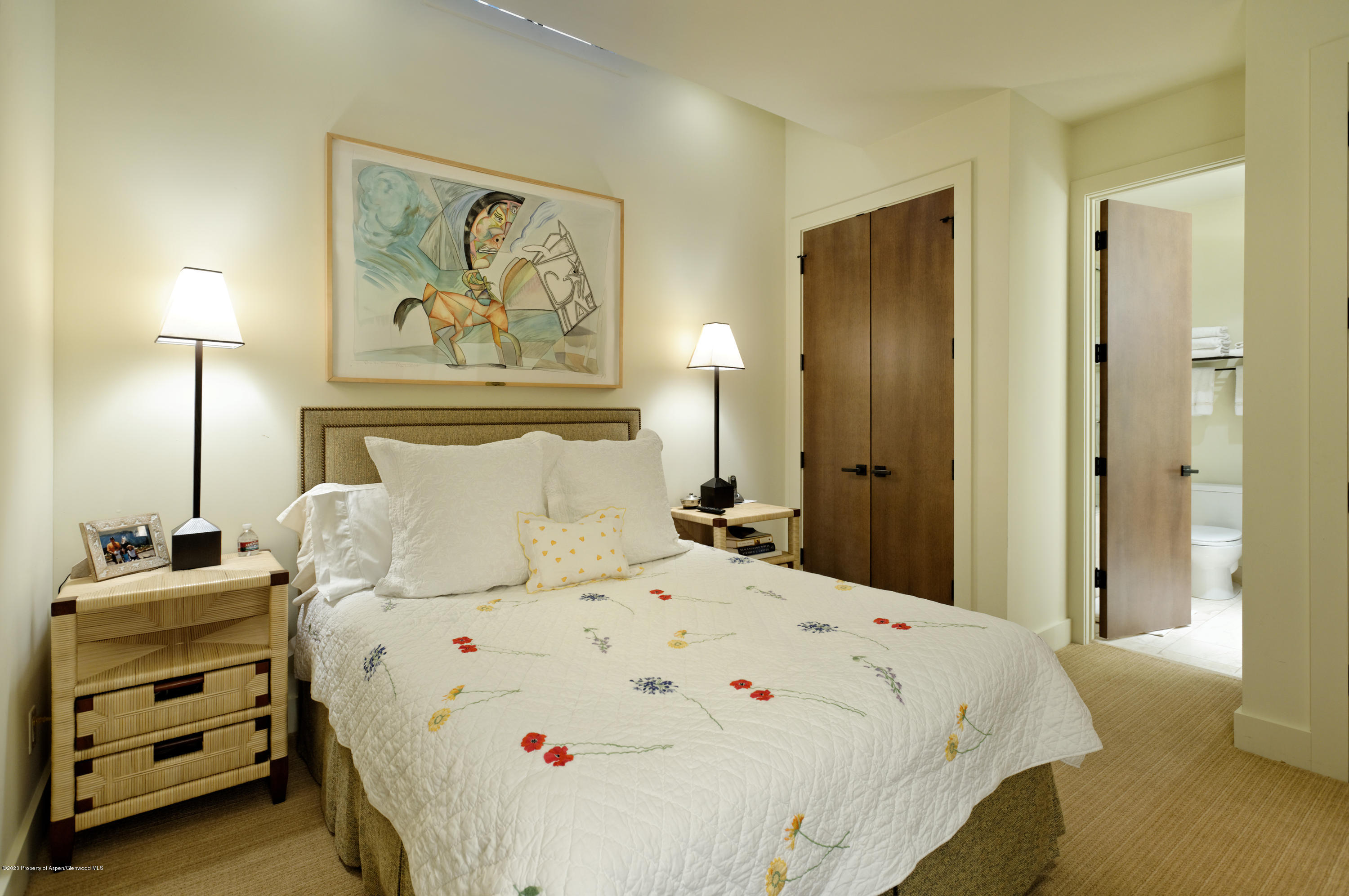 205 Roaring Fork Drive Aspen CO 81611