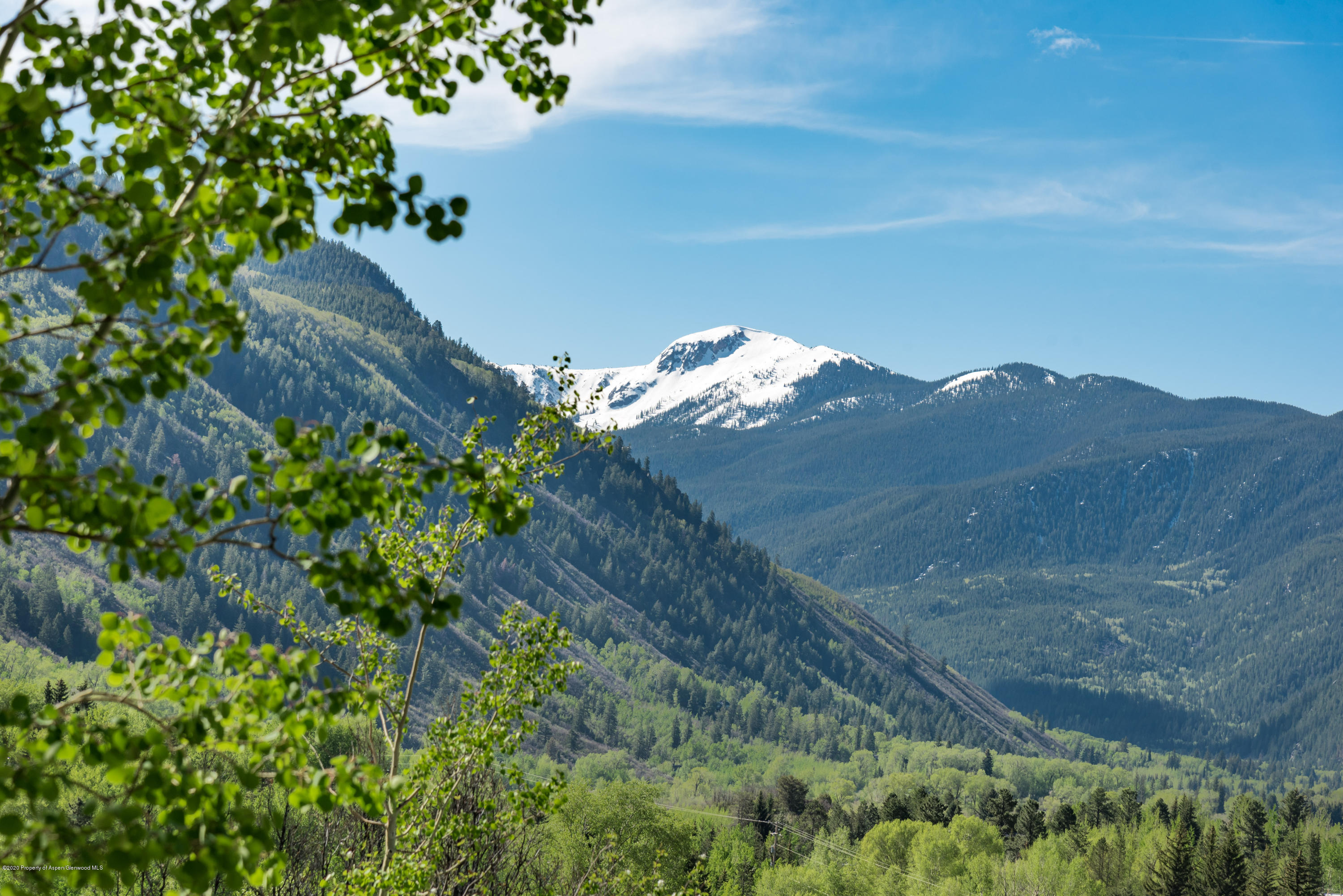 205 Roaring Fork Drive Aspen CO 81611