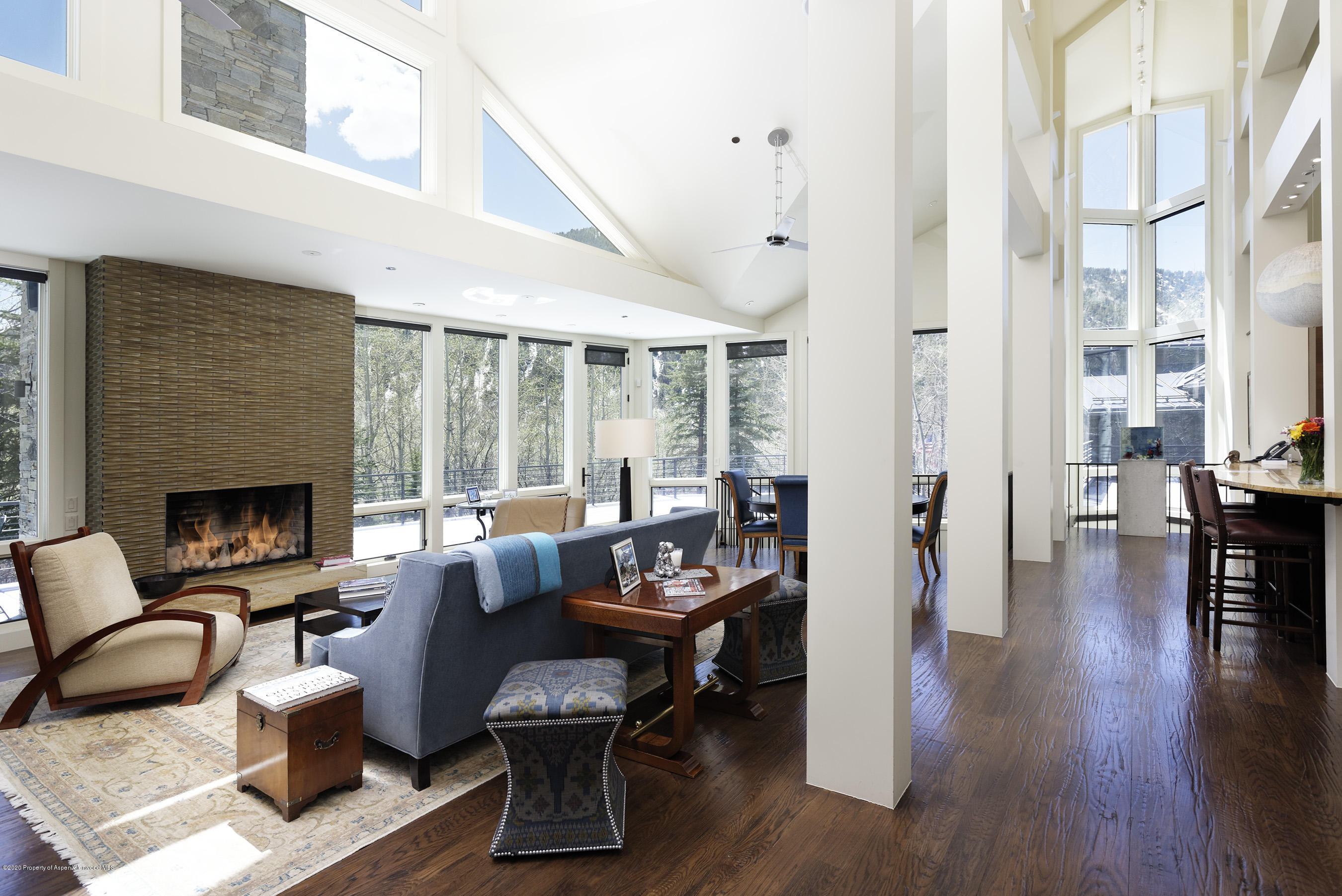 205 Roaring Fork Drive Aspen CO 81611