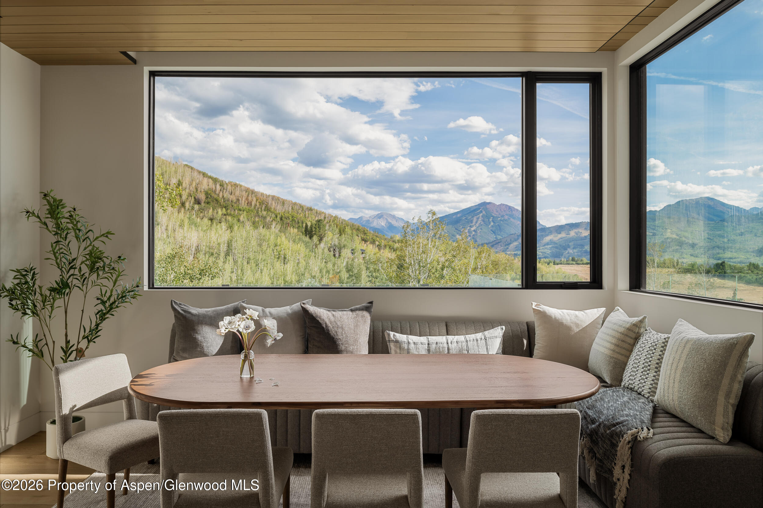 401 Carroll Drive Aspen CO 81611