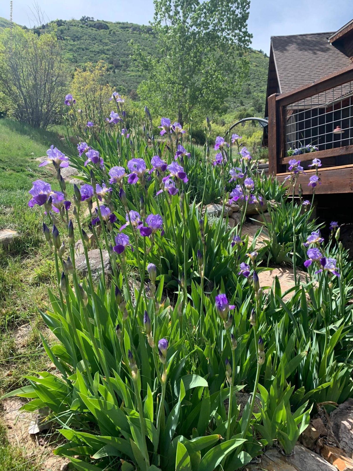 751 Van Dorn Glenwood Springs CO 81601