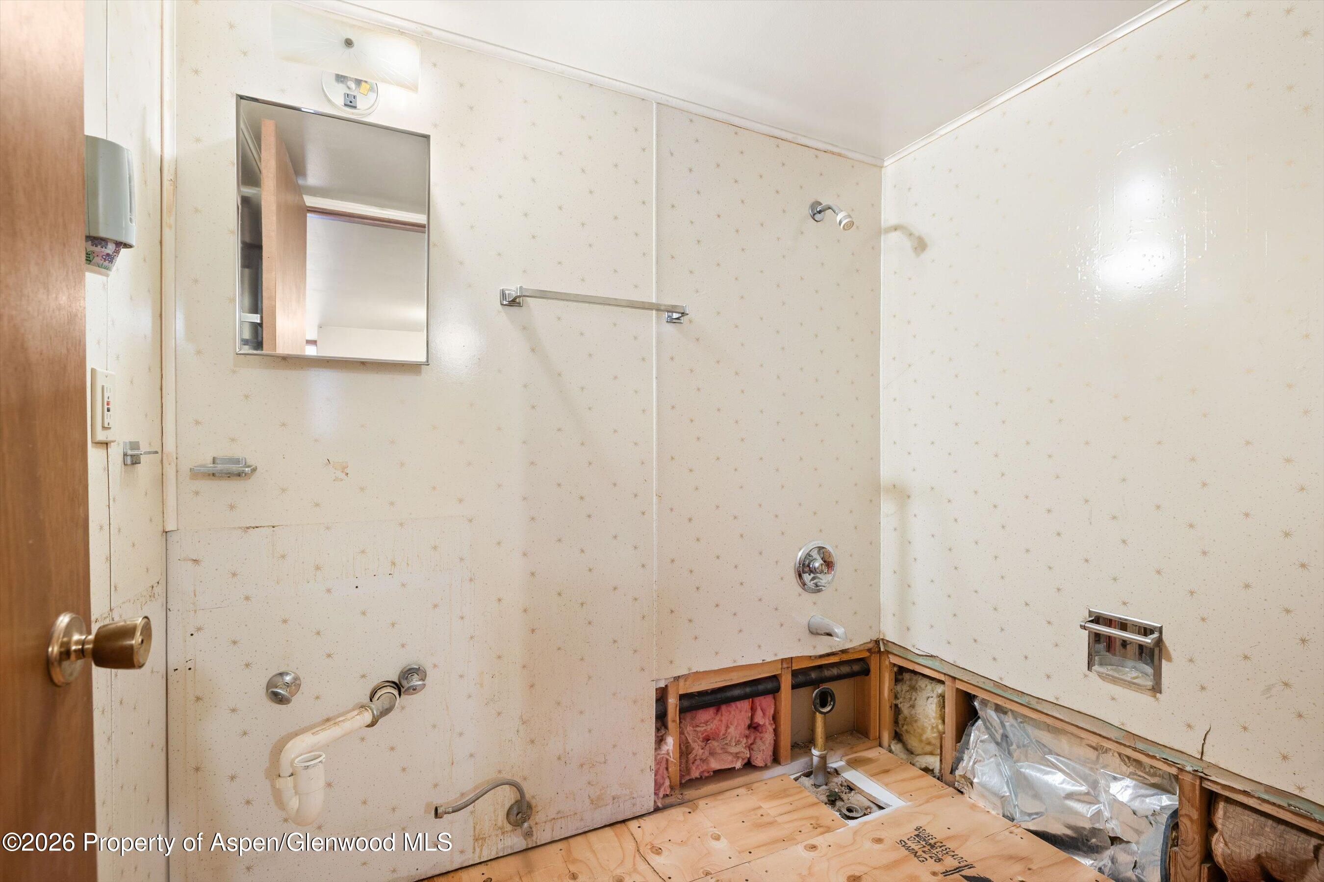 298 Rose Lane Carbondale CO 81623