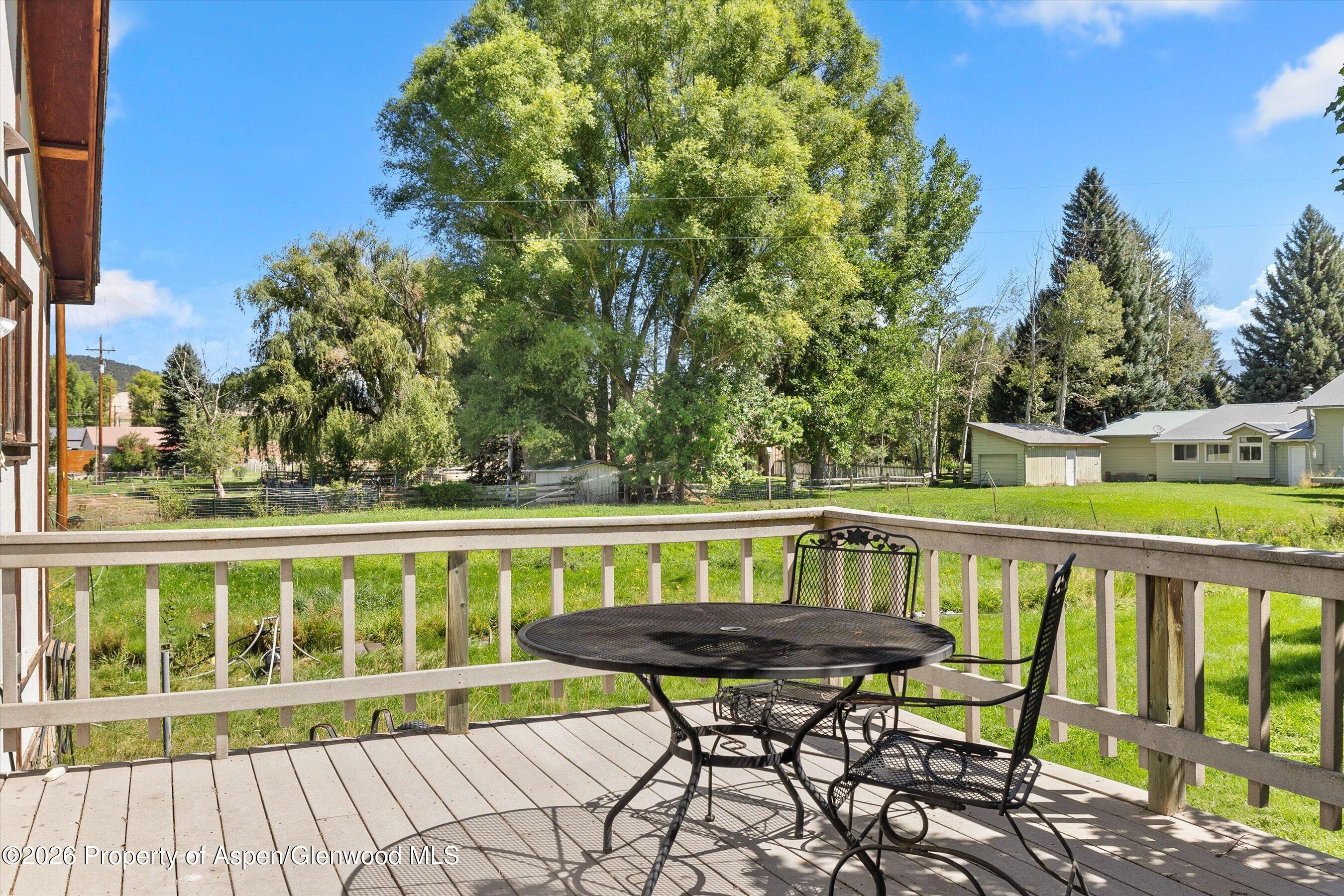 298 Rose Lane Carbondale CO 81623