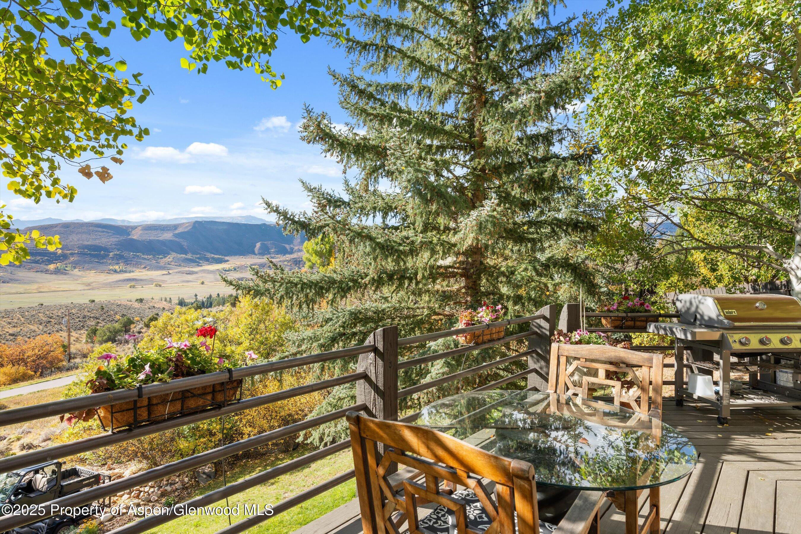 189 Light Hill Road Snowmass CO 81654