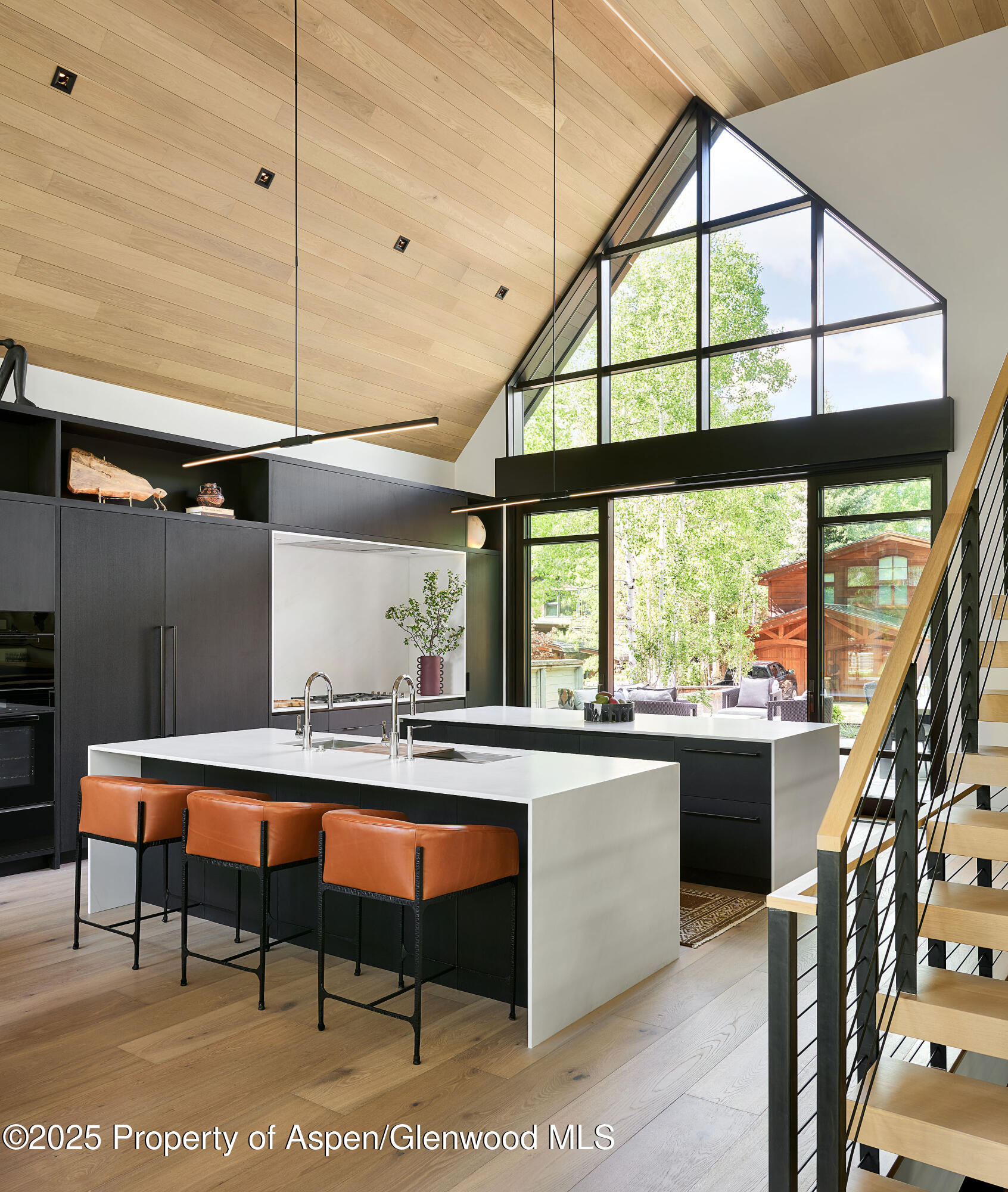 810 W Smuggler Street Aspen CO 81611