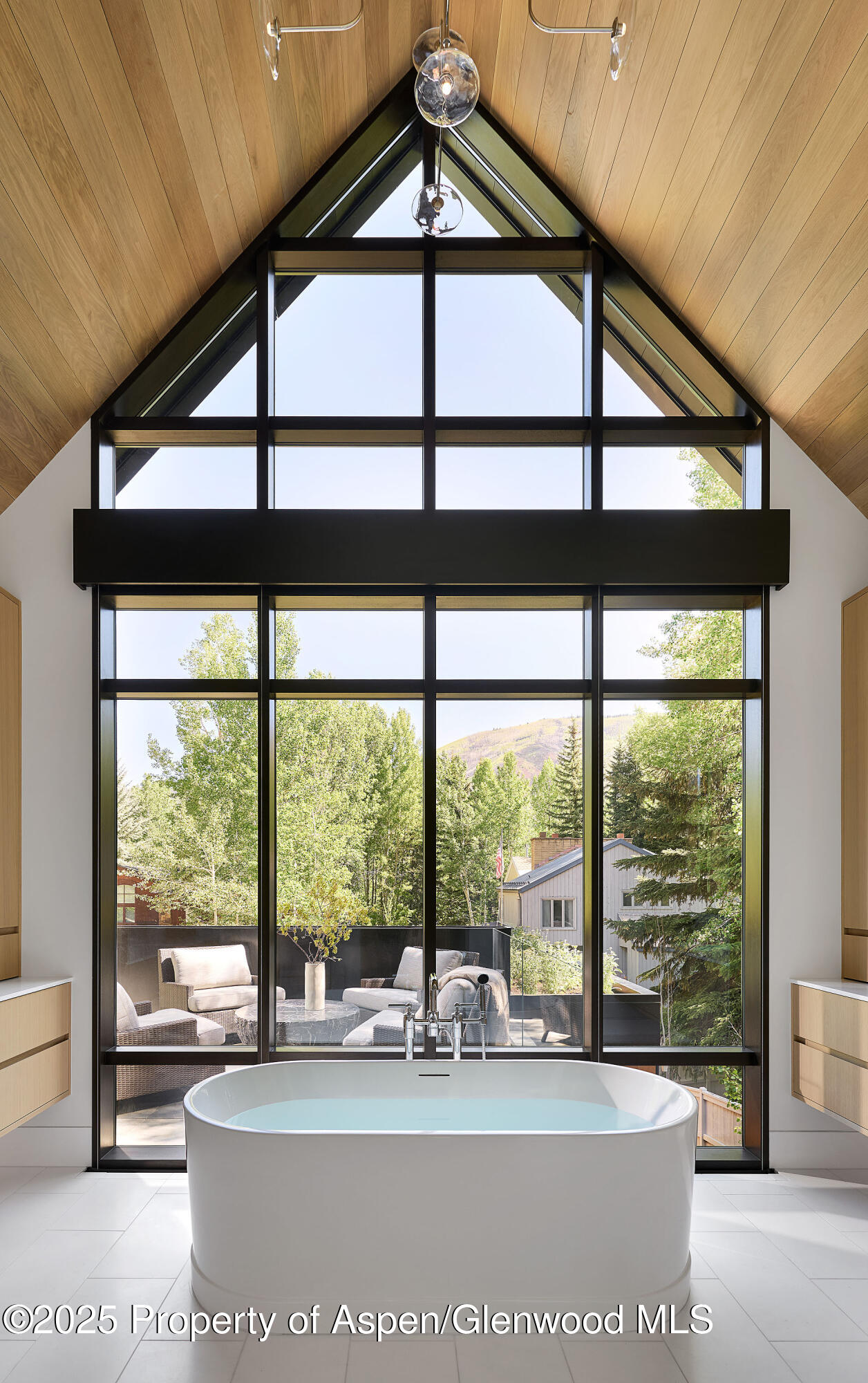 810 W Smuggler Street Aspen CO 81611