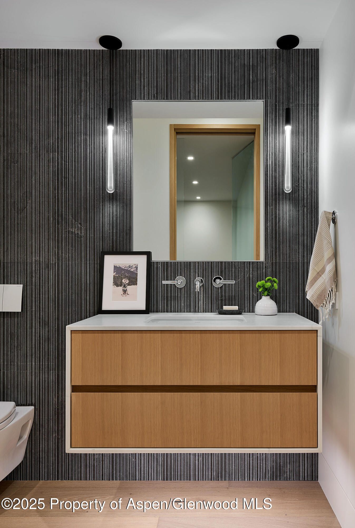 810 W Smuggler Street Aspen CO 81611