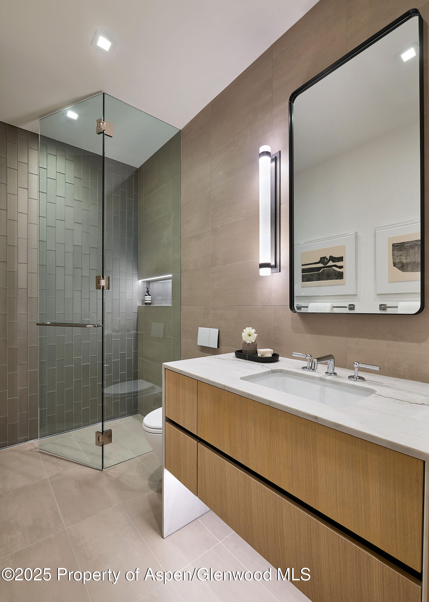 810 W Smuggler Street Aspen CO 81611