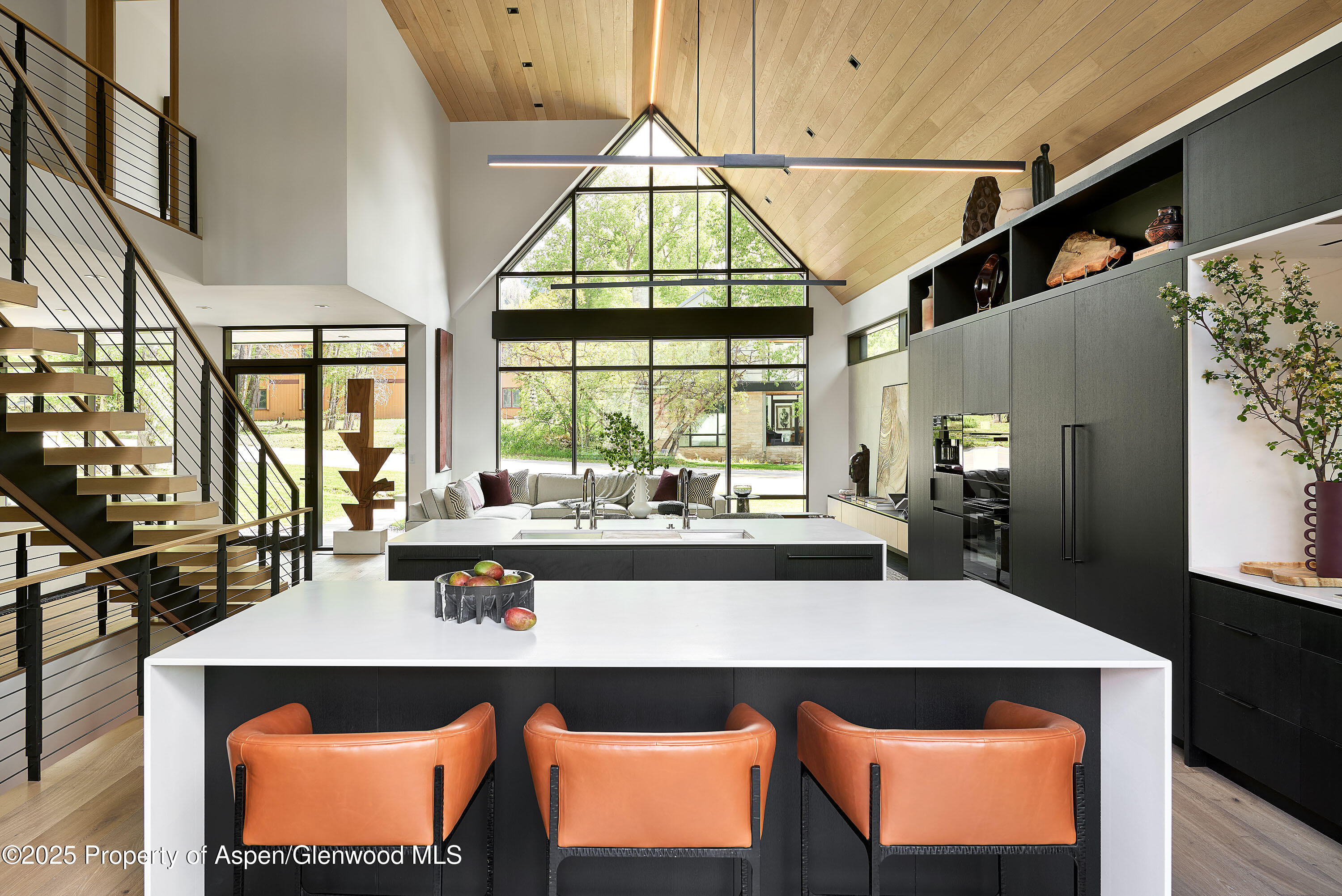 810 W Smuggler Street Aspen CO 81611