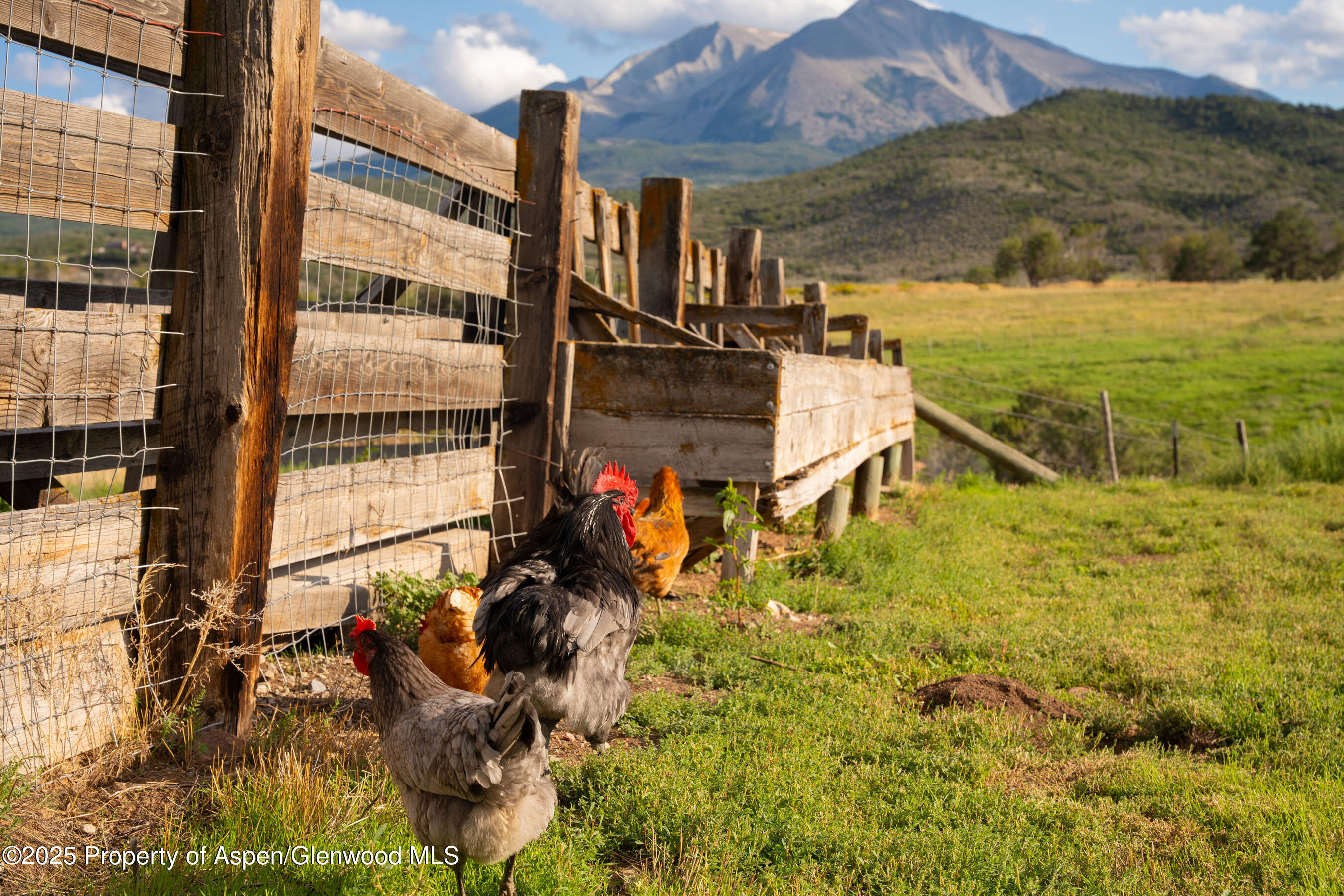 1644 Prince Creek Road Carbondale CO 81623