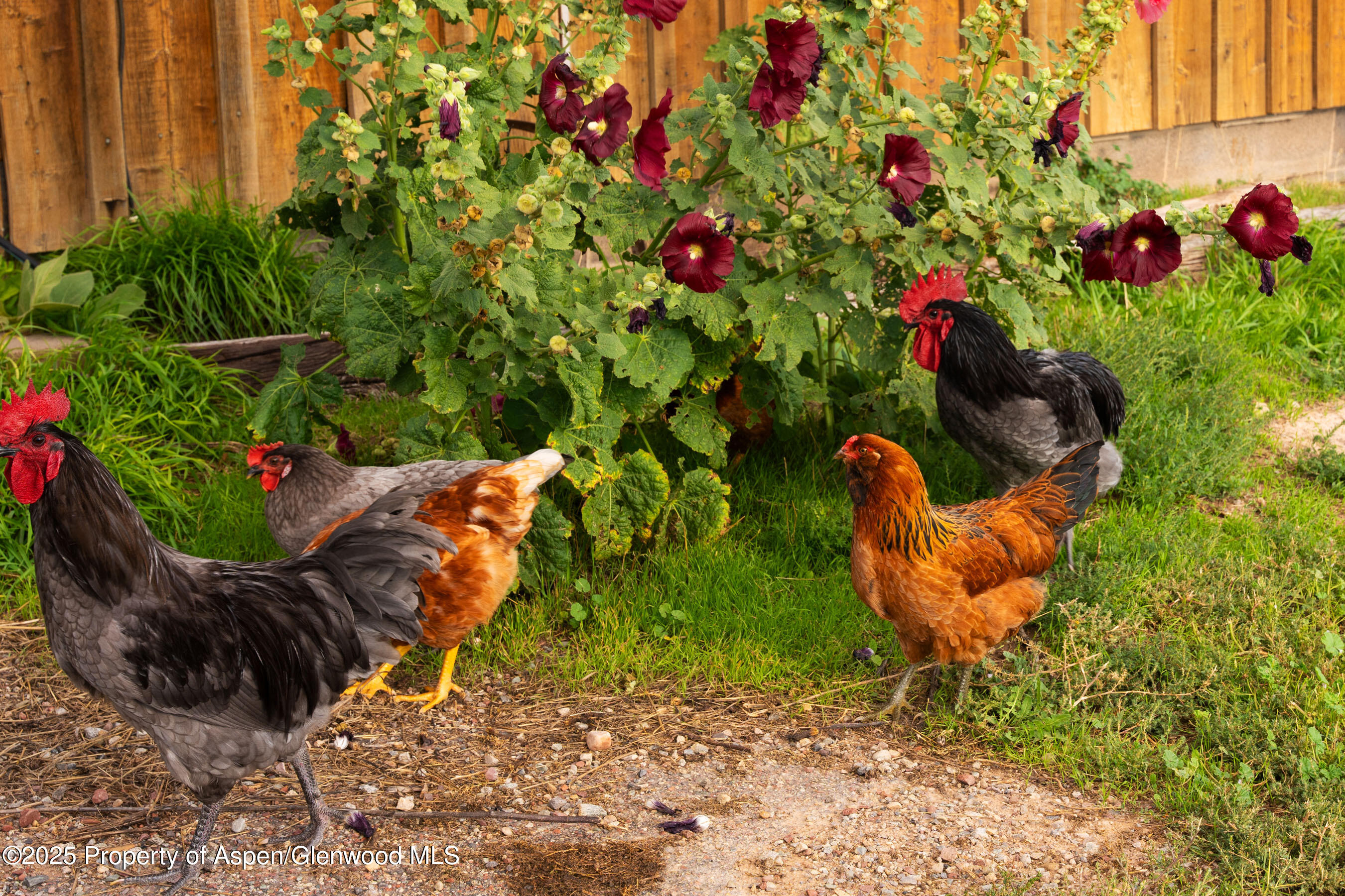 1644 Prince Creek Road Carbondale CO 81623