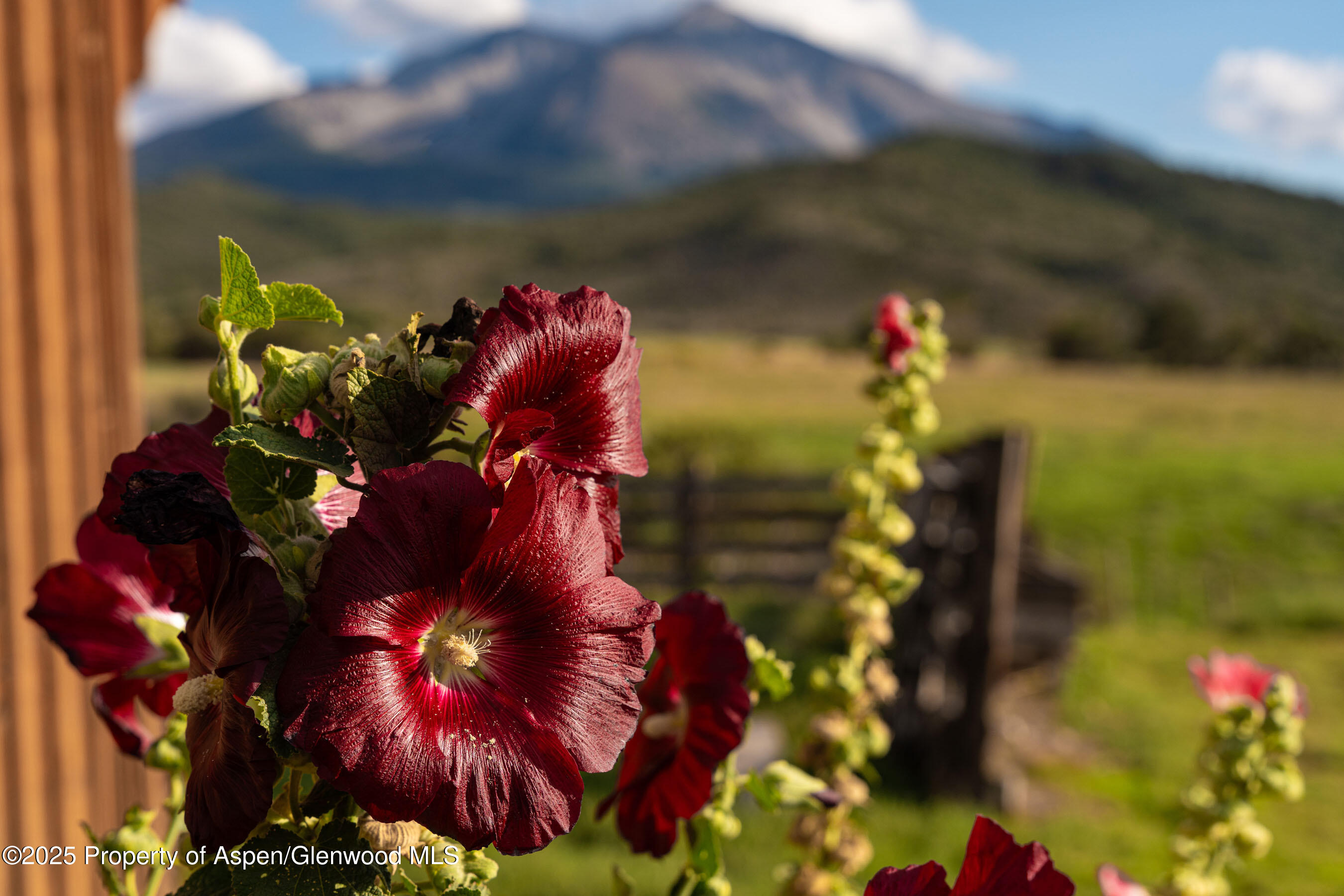 1644 Prince Creek Road Carbondale CO 81623