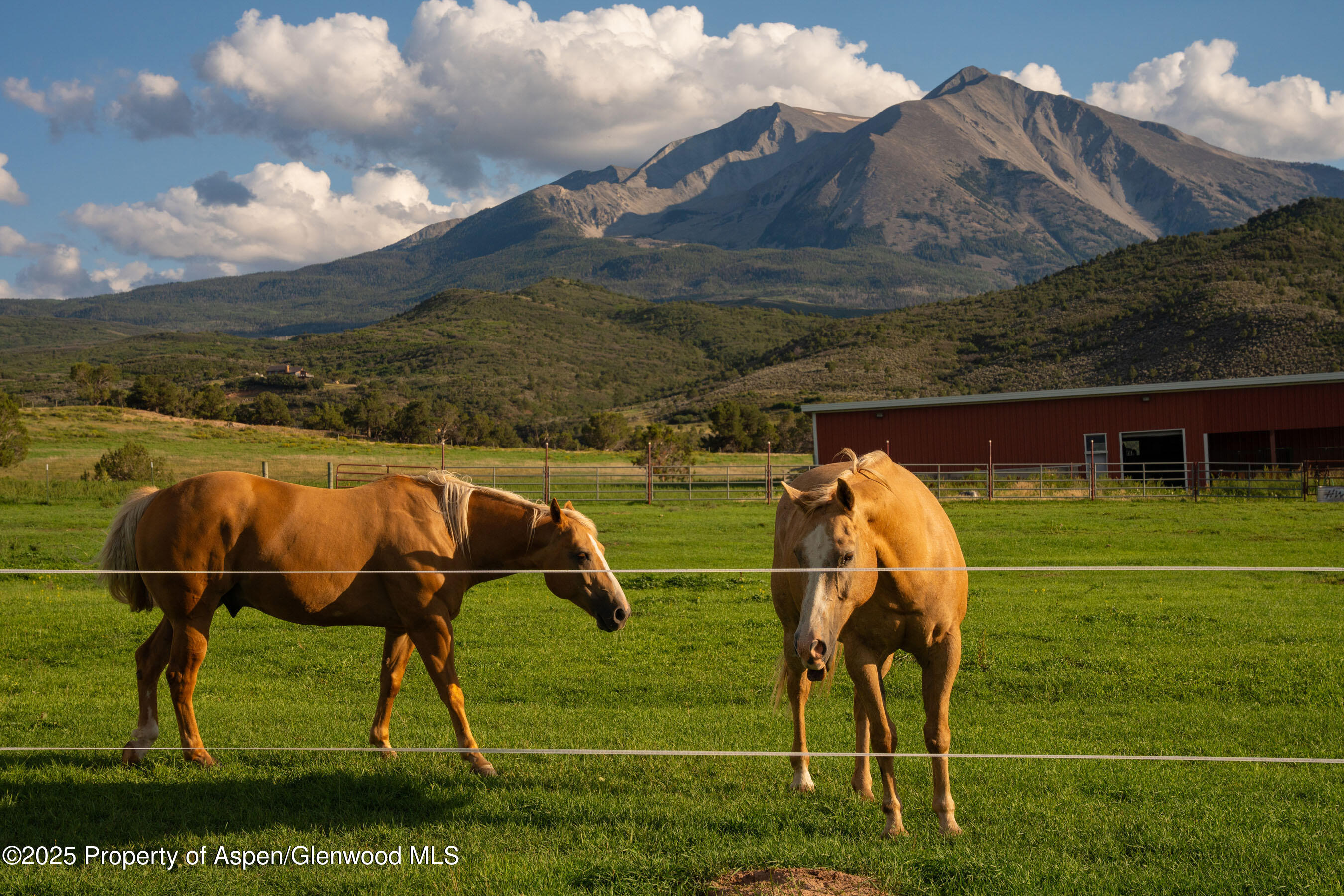 1644 Prince Creek Road Carbondale CO 81623