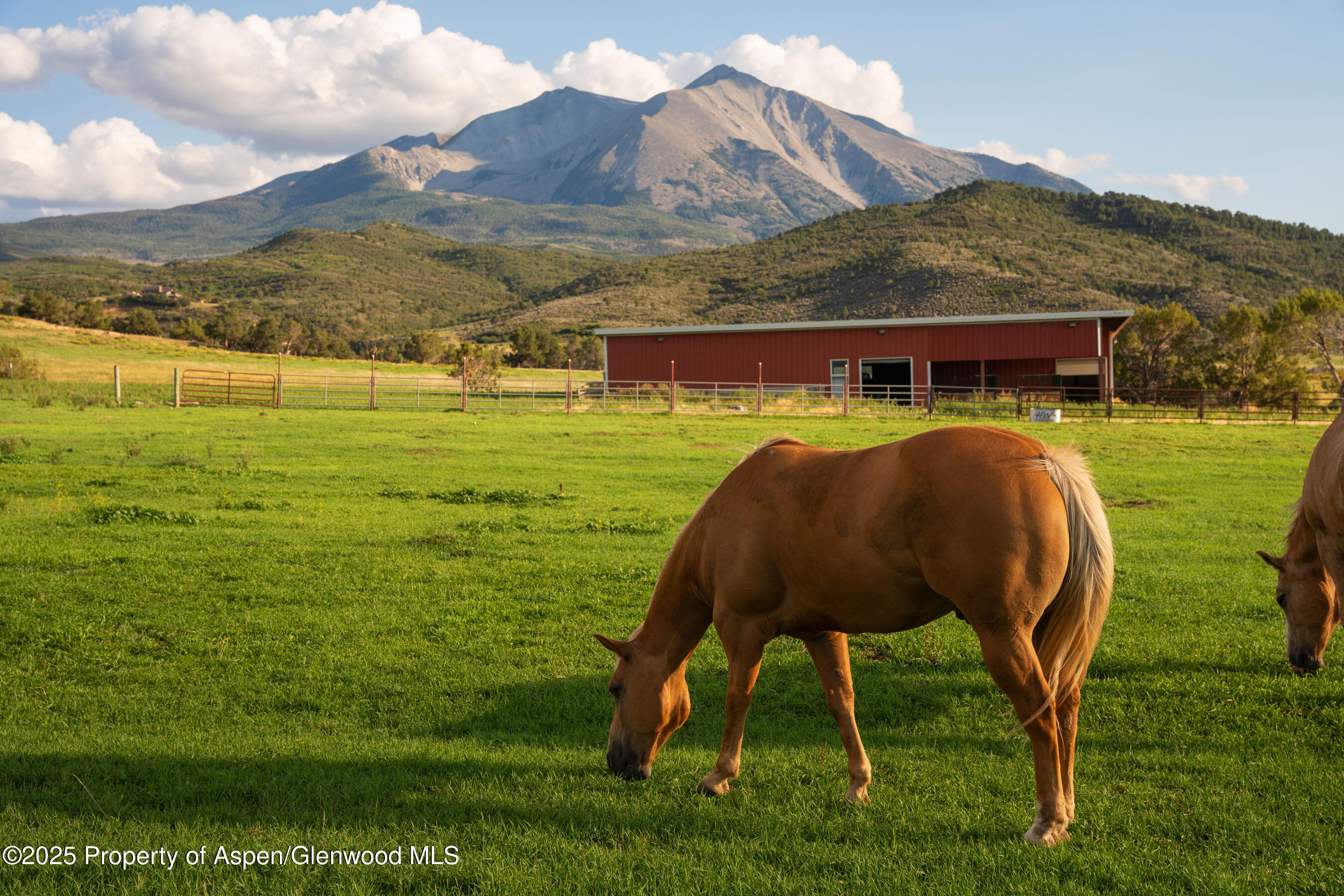 1644 Prince Creek Road Carbondale CO 81623