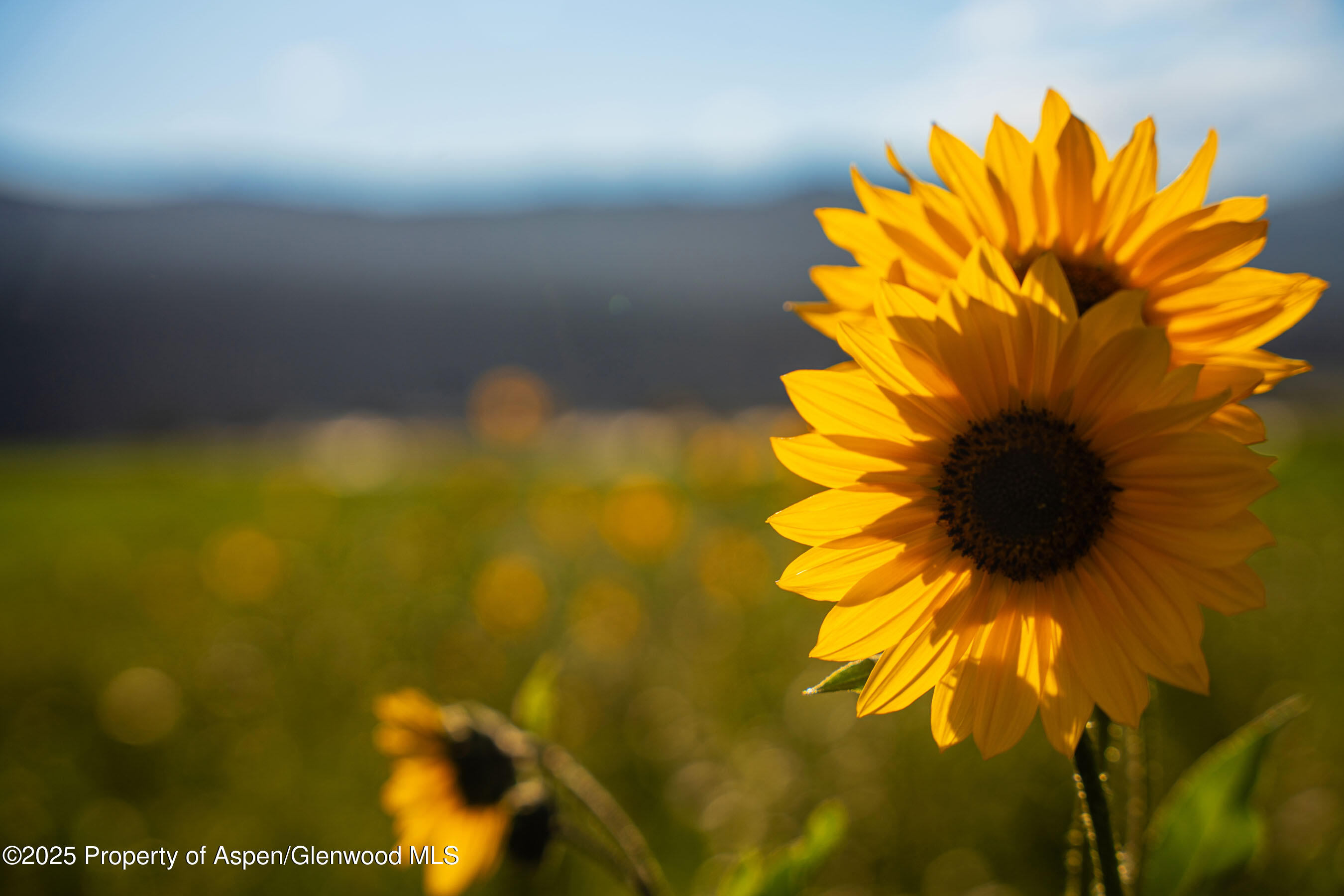 1644 Prince Creek Road Carbondale CO 81623