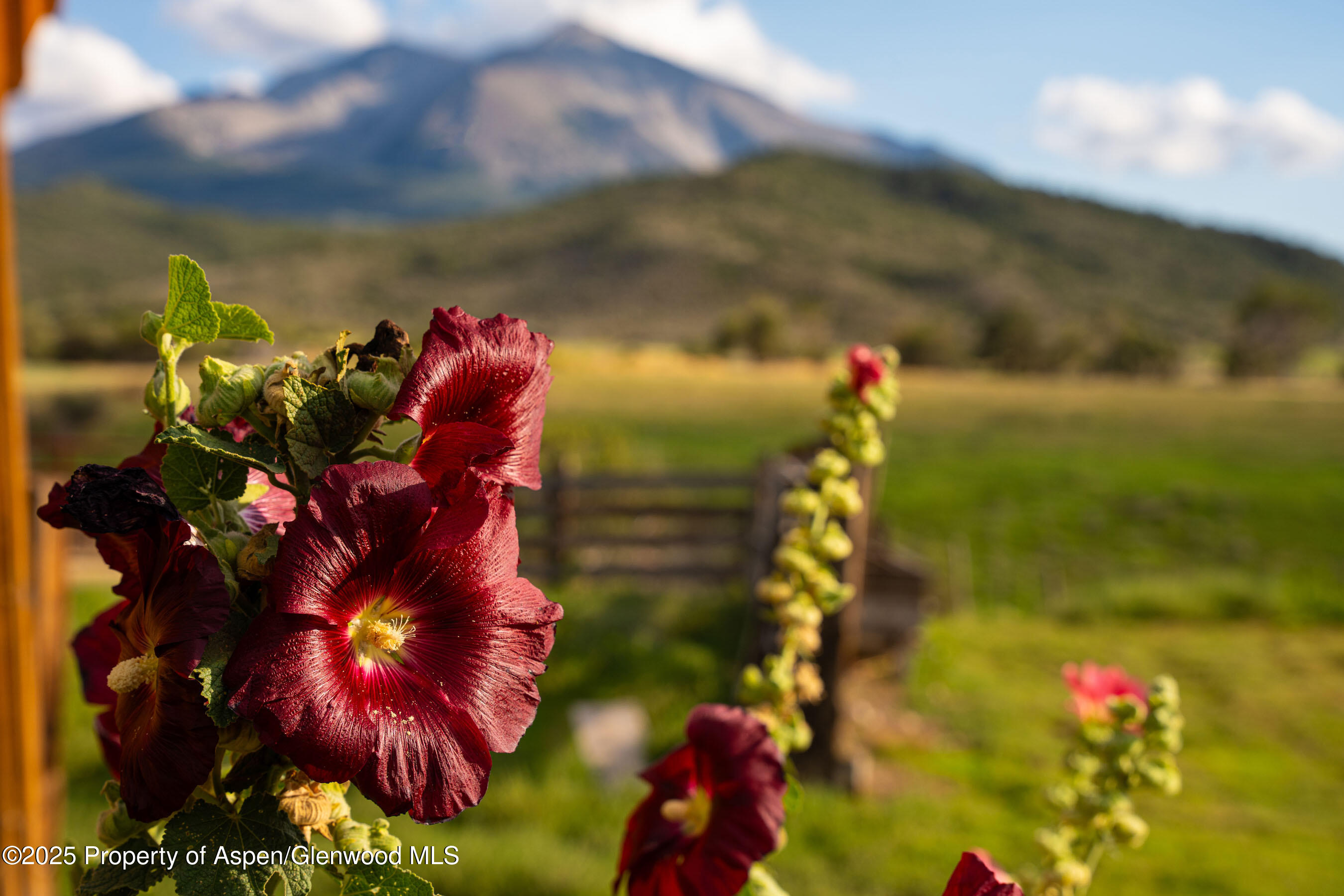 1644 Prince Creek Road Carbondale CO 81623