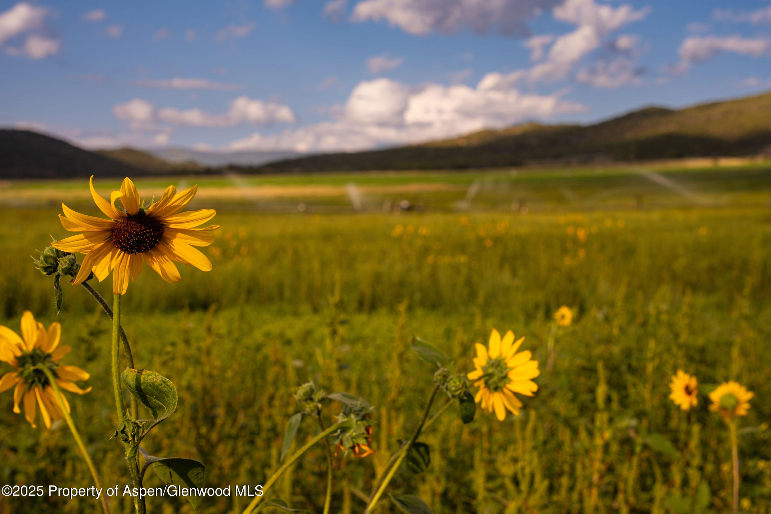 1644 Prince Creek Road Carbondale CO 81623