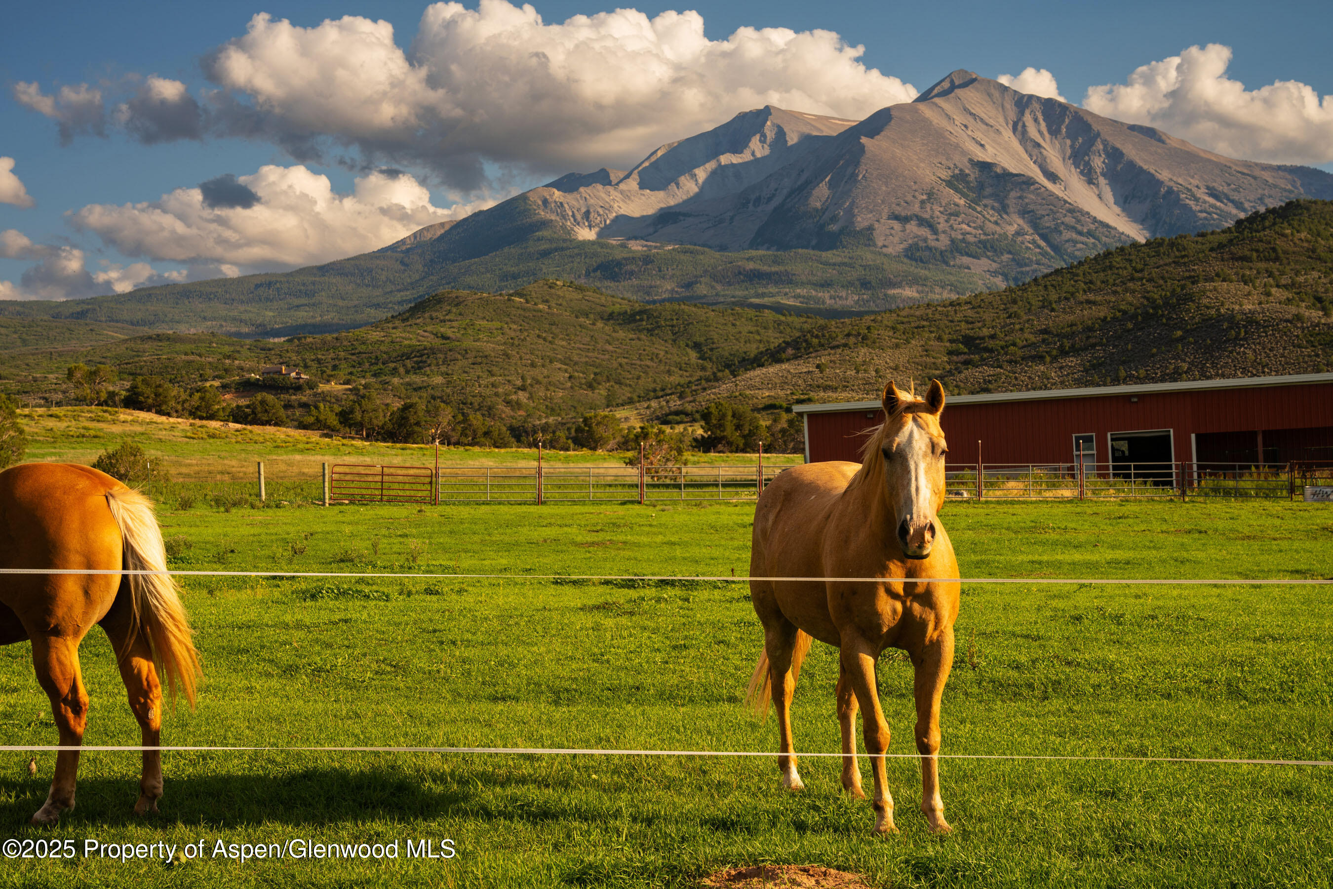 1644 Prince Creek Road Carbondale CO 81623
