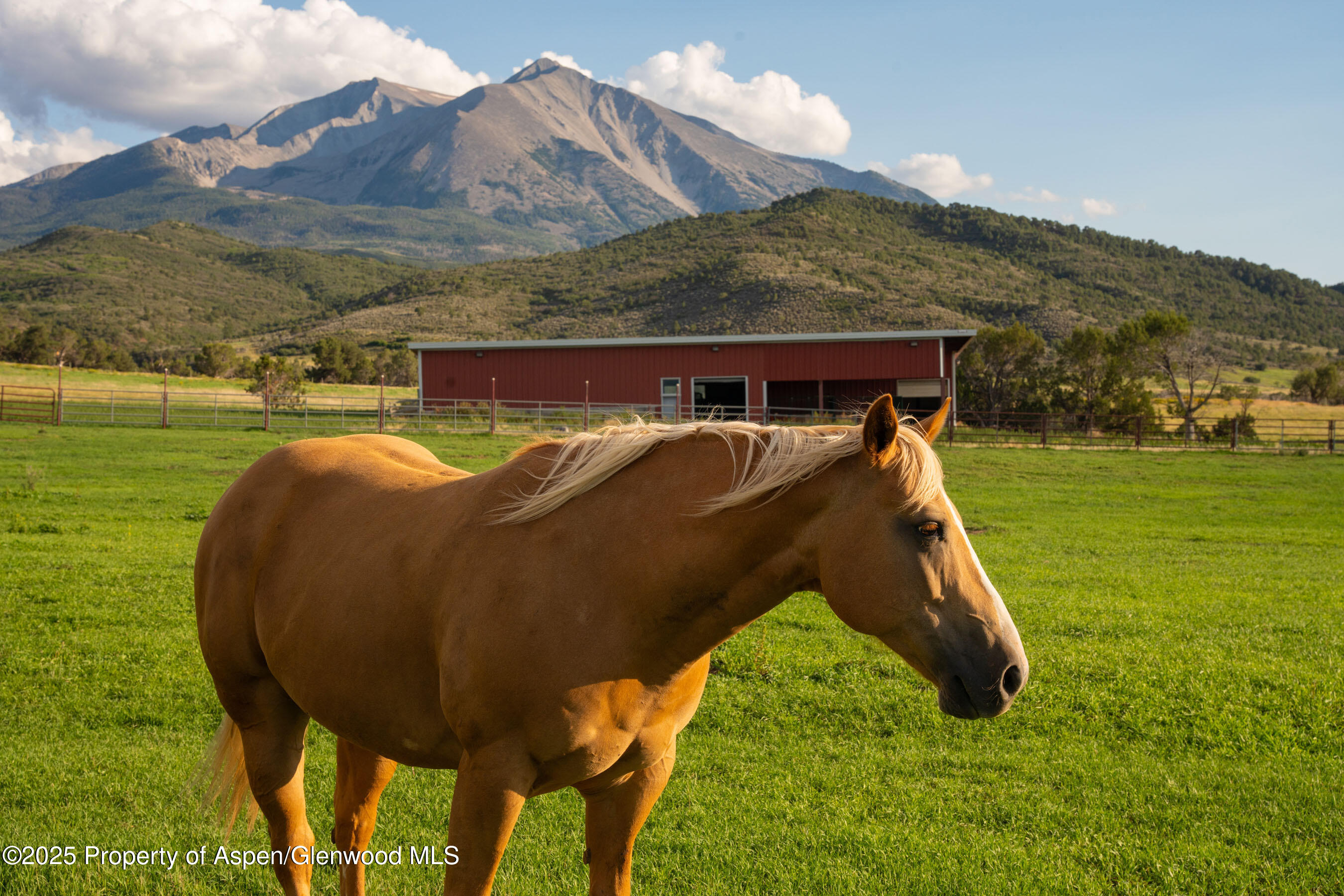 1644 Prince Creek Road Carbondale CO 81623