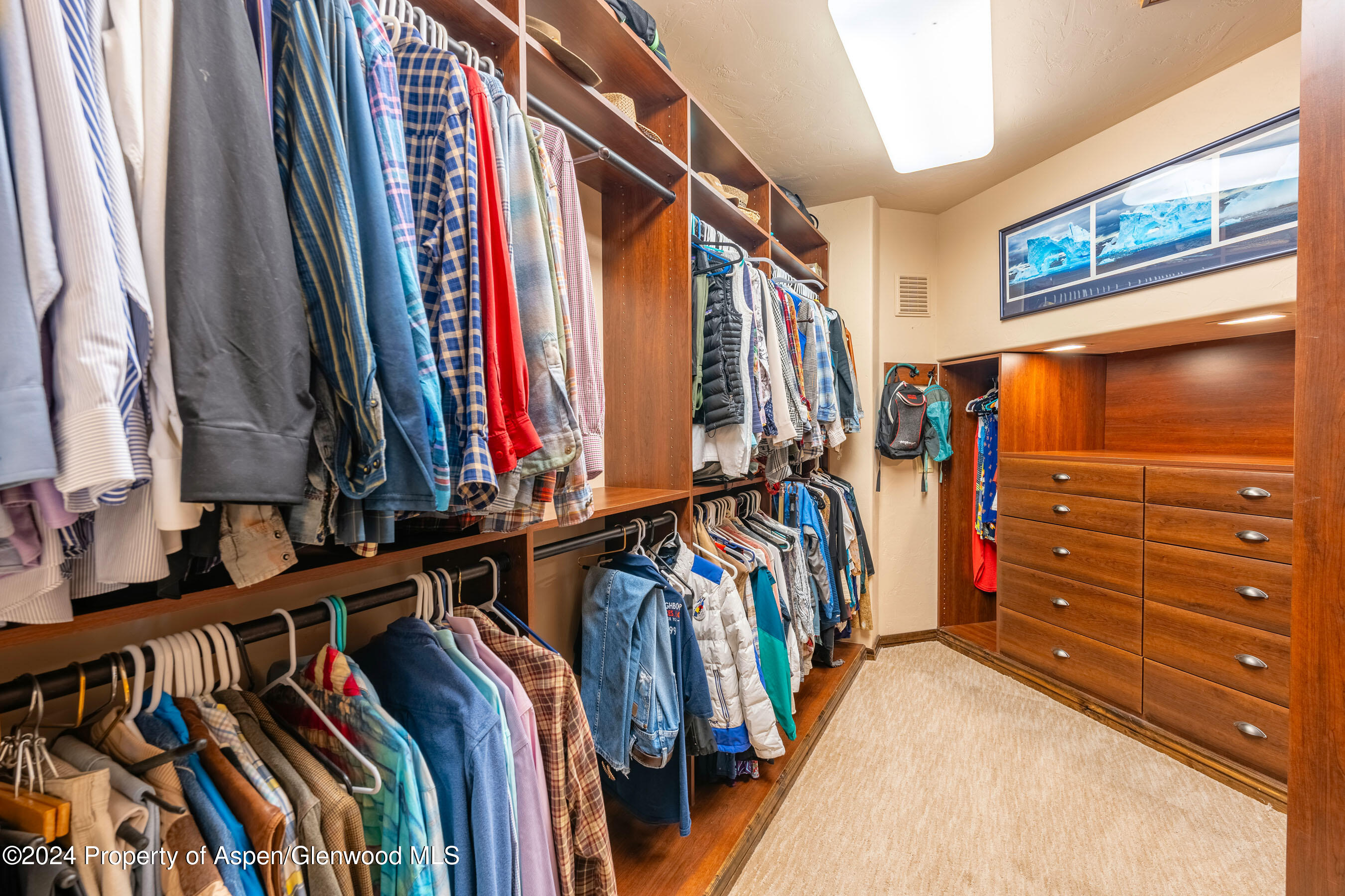 4132 Crystal Bridge Drive Carbondale CO 81623