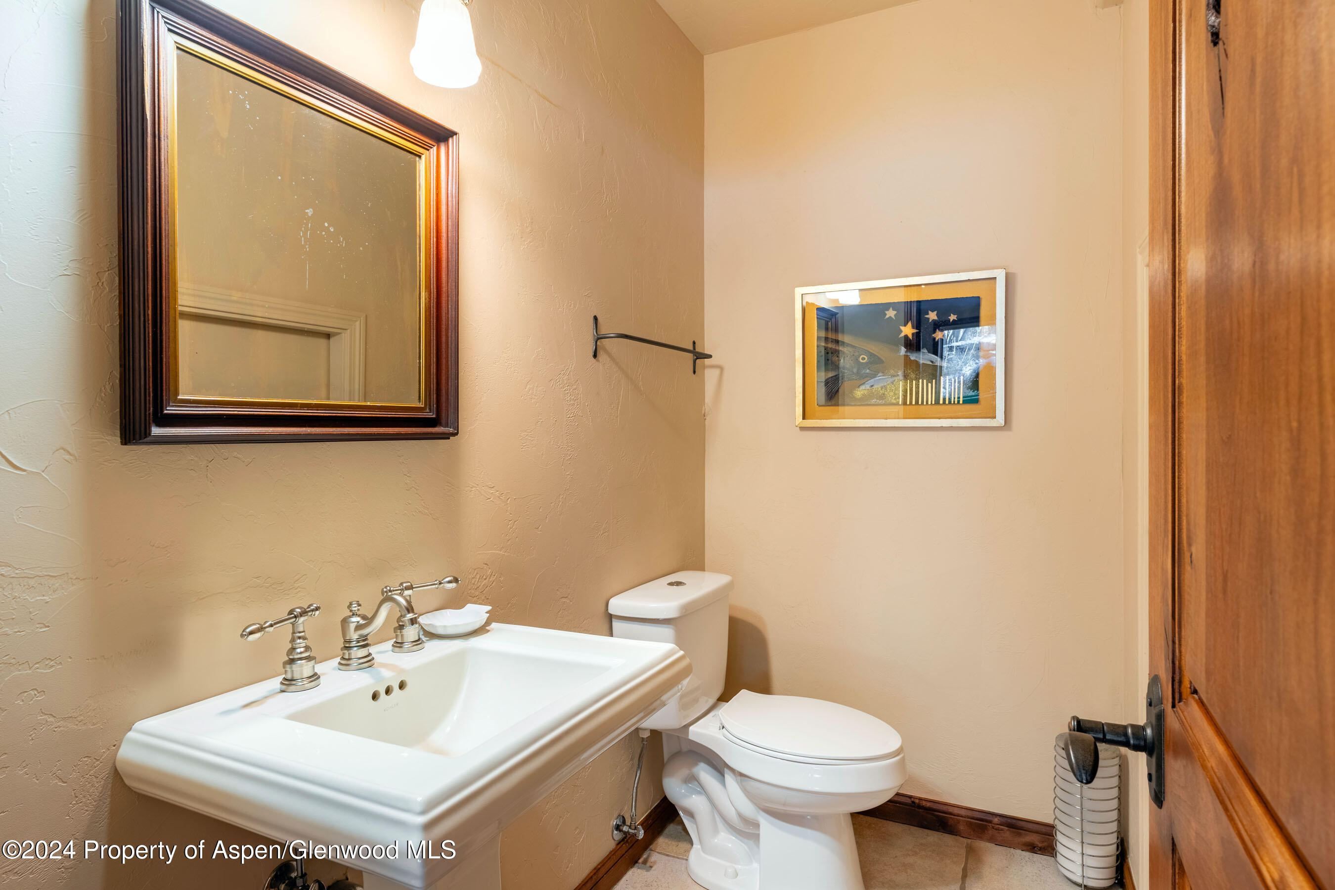 4132 Crystal Bridge Drive Carbondale CO 81623