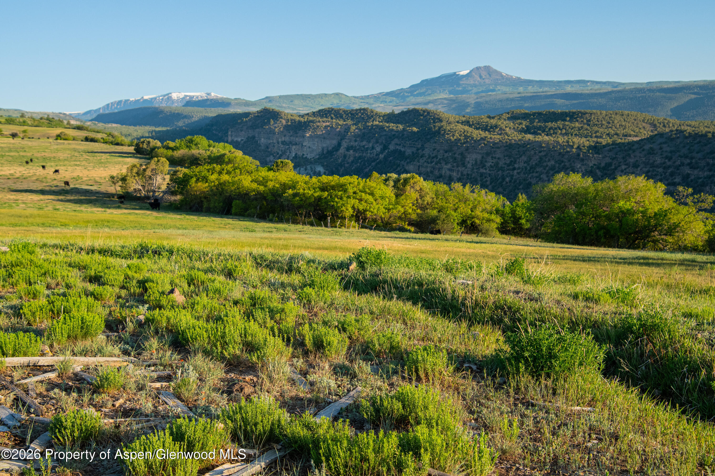 12590 Derby Mesa Loop Burns CO 80426