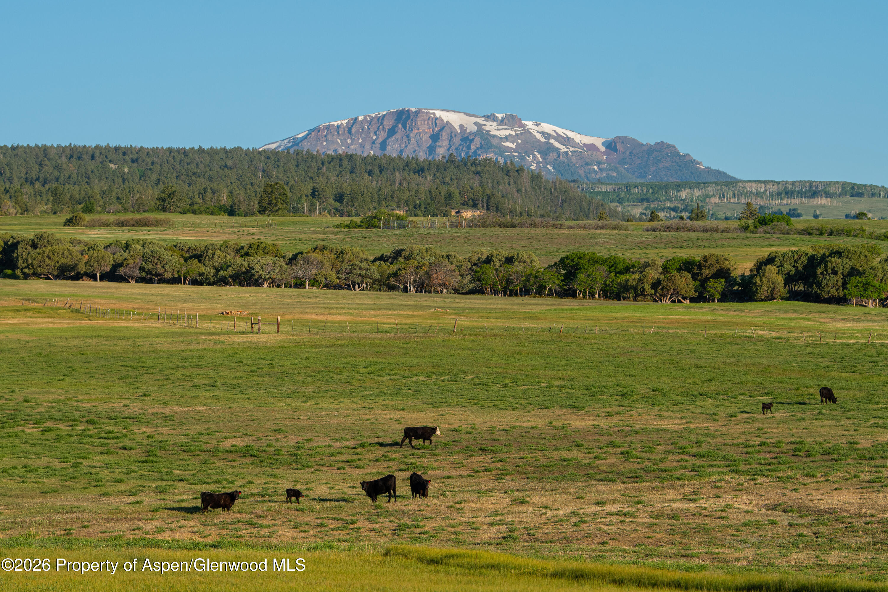 12590 Derby Mesa Loop Burns CO 80426