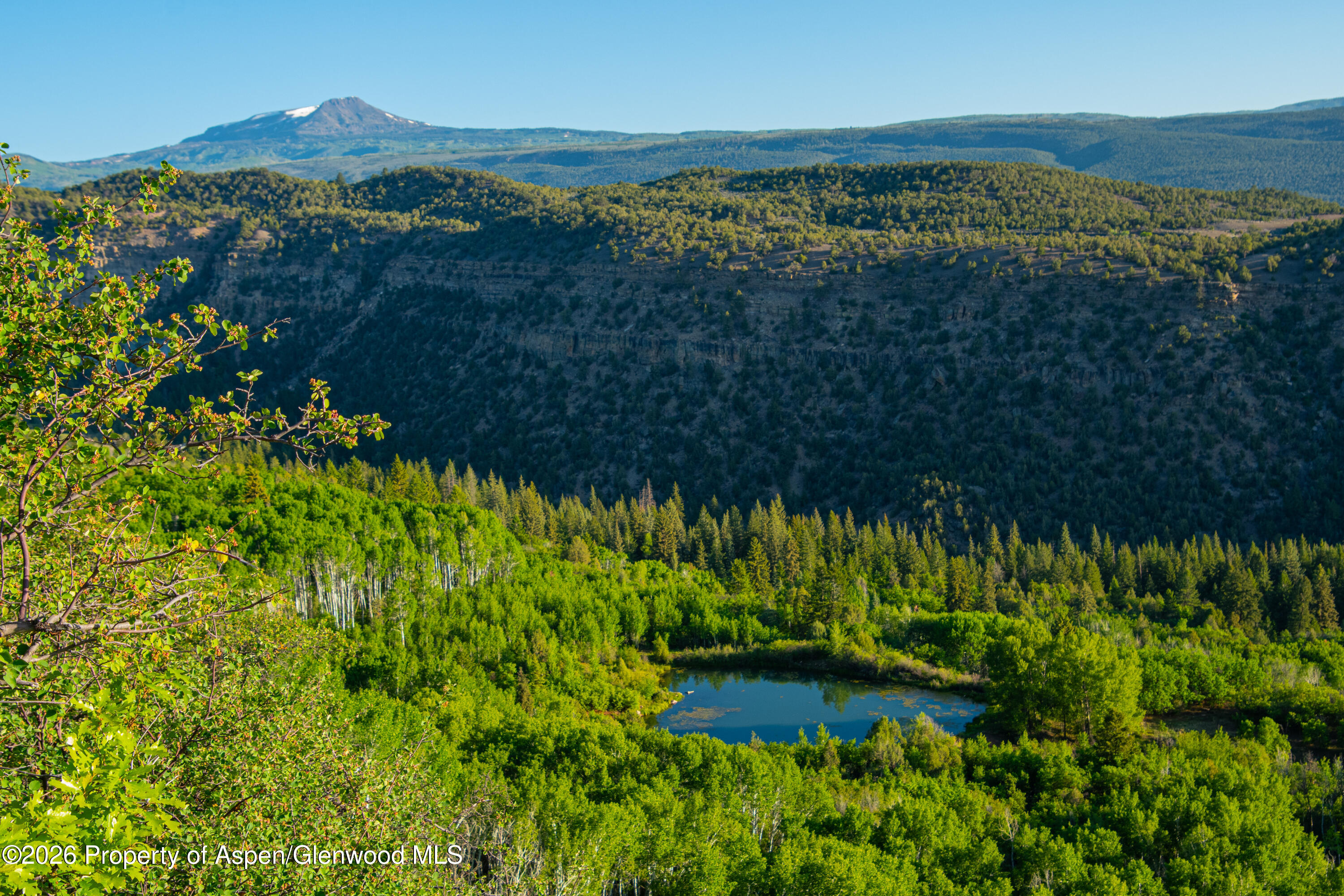 12590 Derby Mesa Loop Burns CO 80426