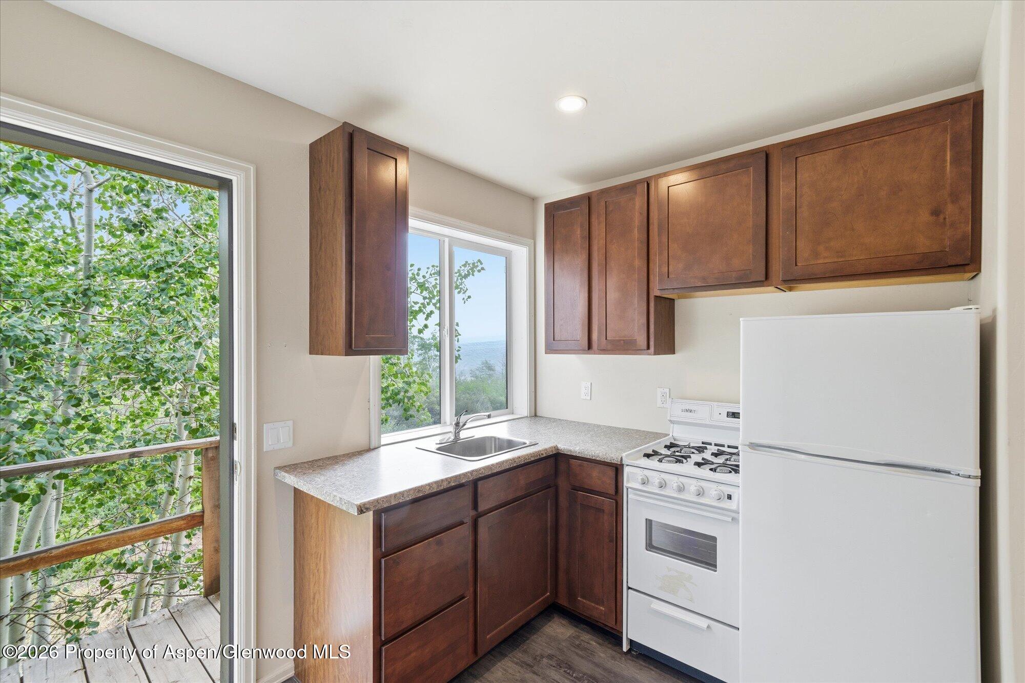 531 Buck Point Drive Carbondale CO 81623