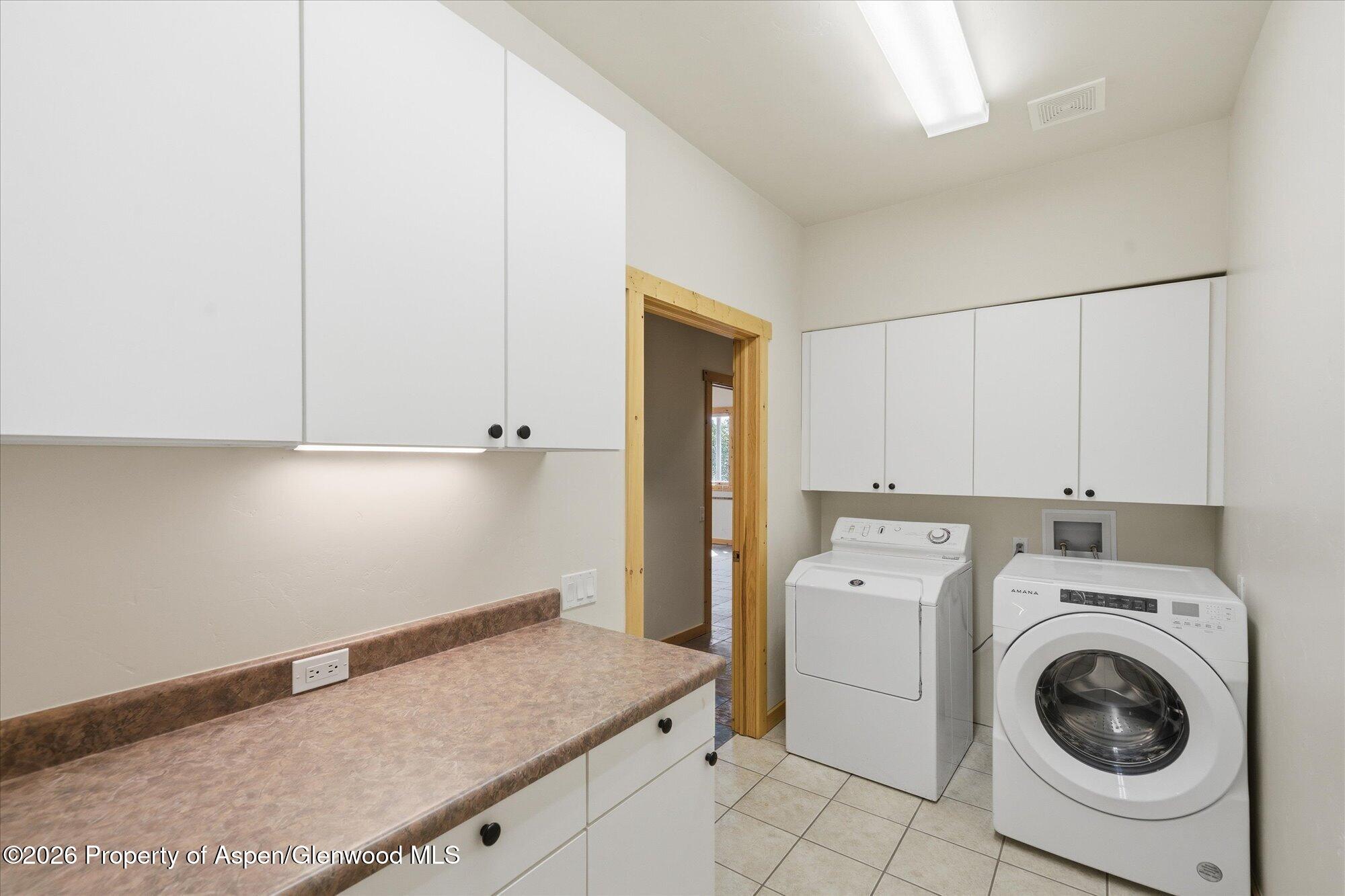 531 Buck Point Drive Carbondale CO 81623