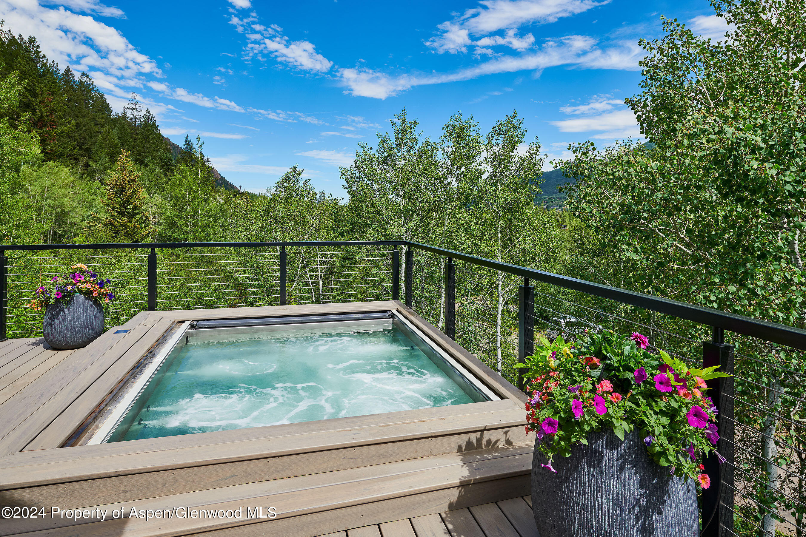 1271 Ute Avenue Aspen CO 81611