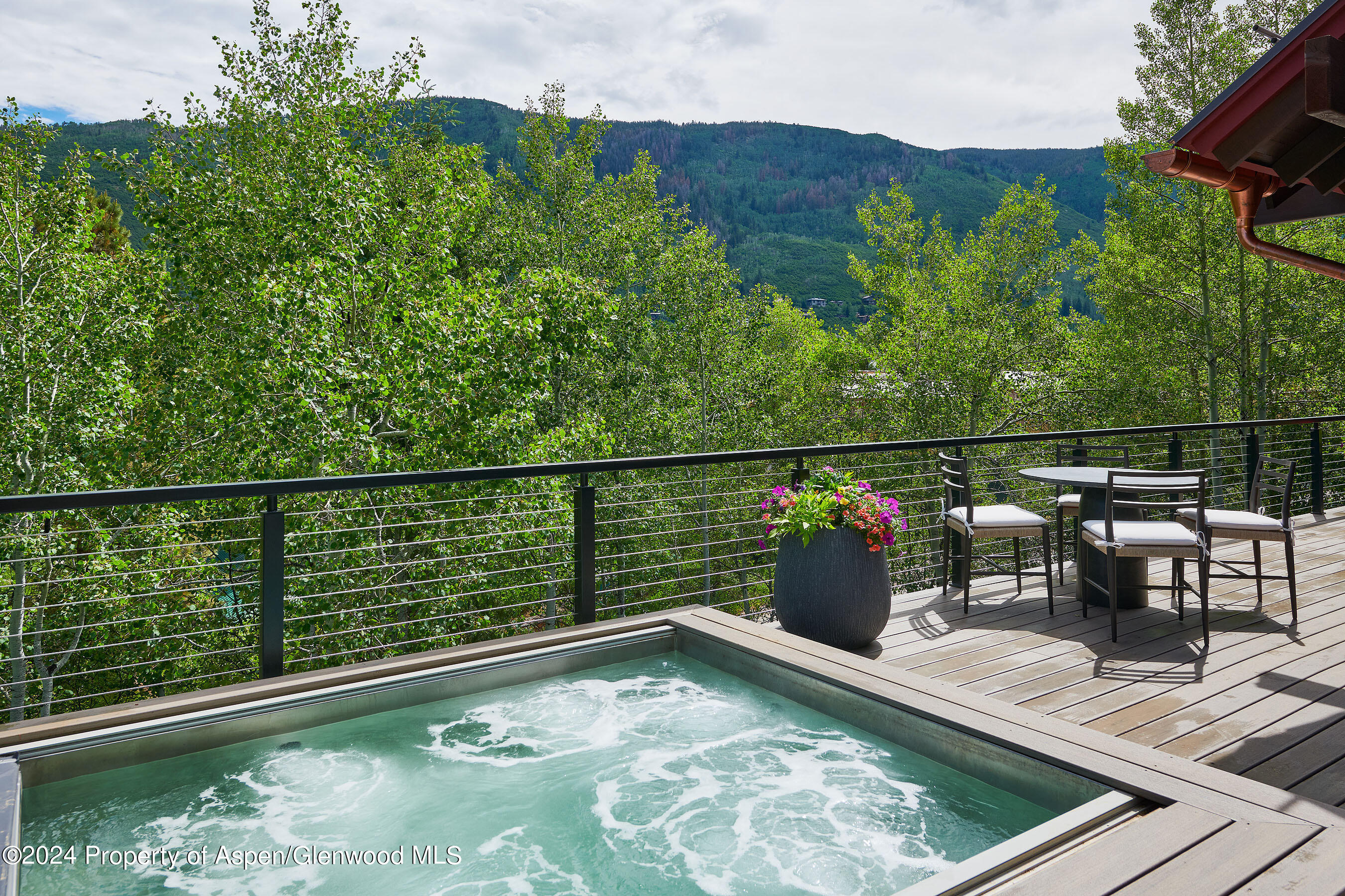 1271 Ute Avenue Aspen CO 81611