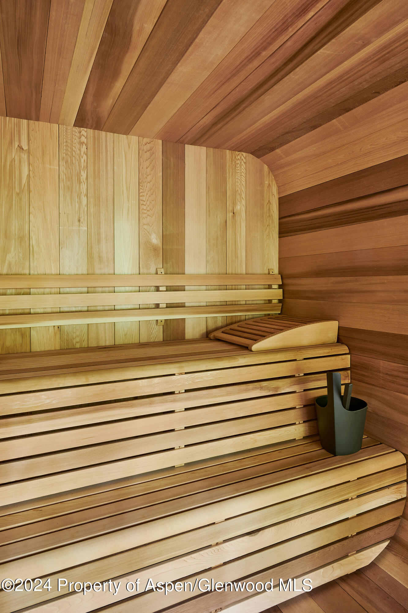 1271 Ute Avenue Aspen CO 81611