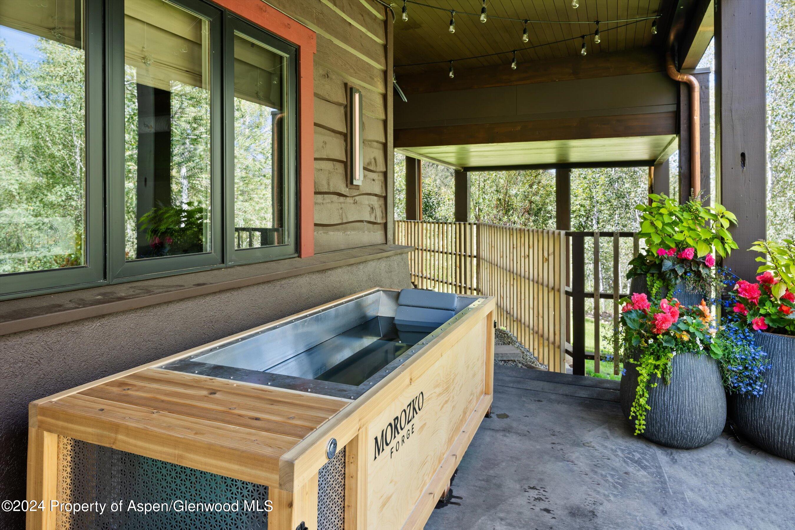 1271 Ute Avenue Aspen CO 81611