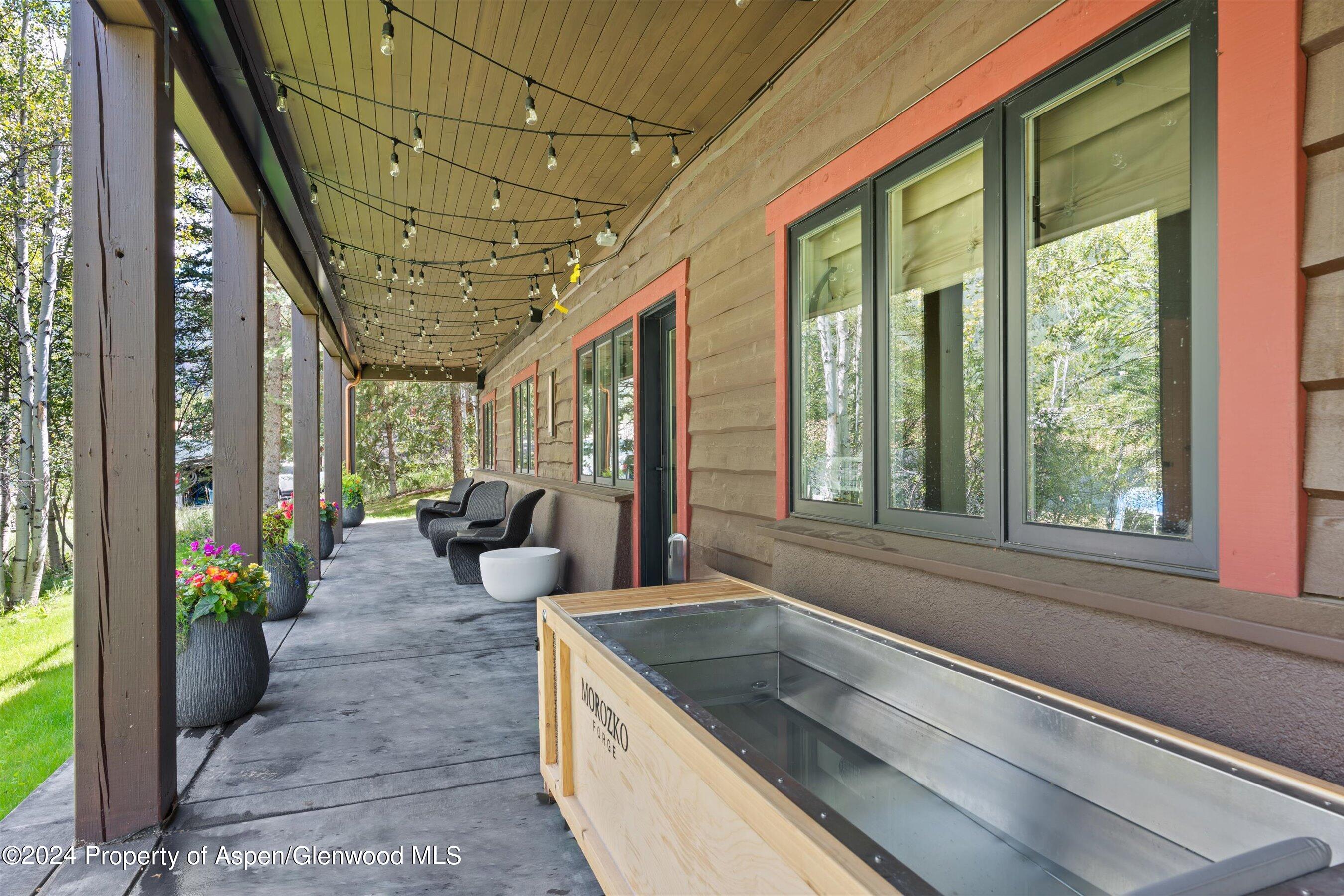 1271 Ute Avenue Aspen CO 81611