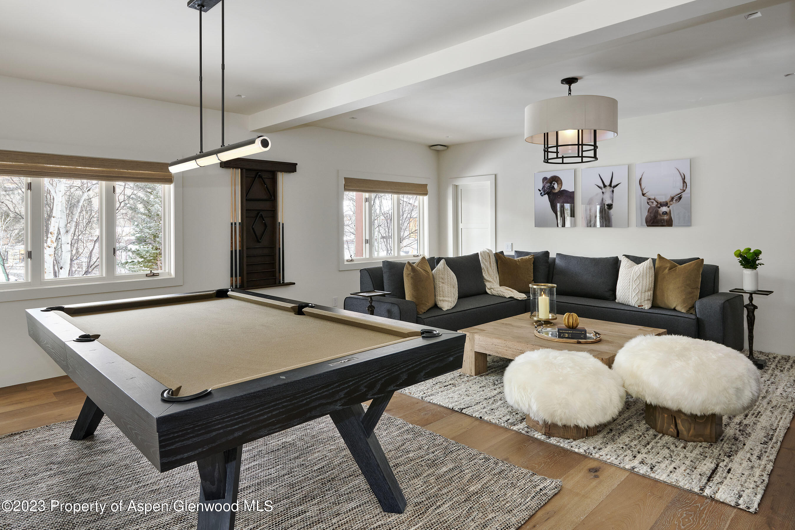 1271 Ute Avenue Aspen CO 81611