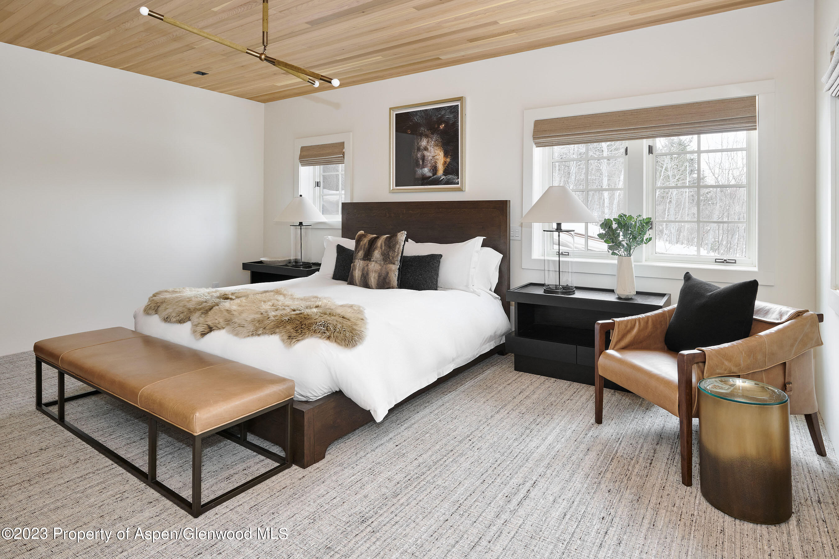 1271 Ute Avenue Aspen CO 81611