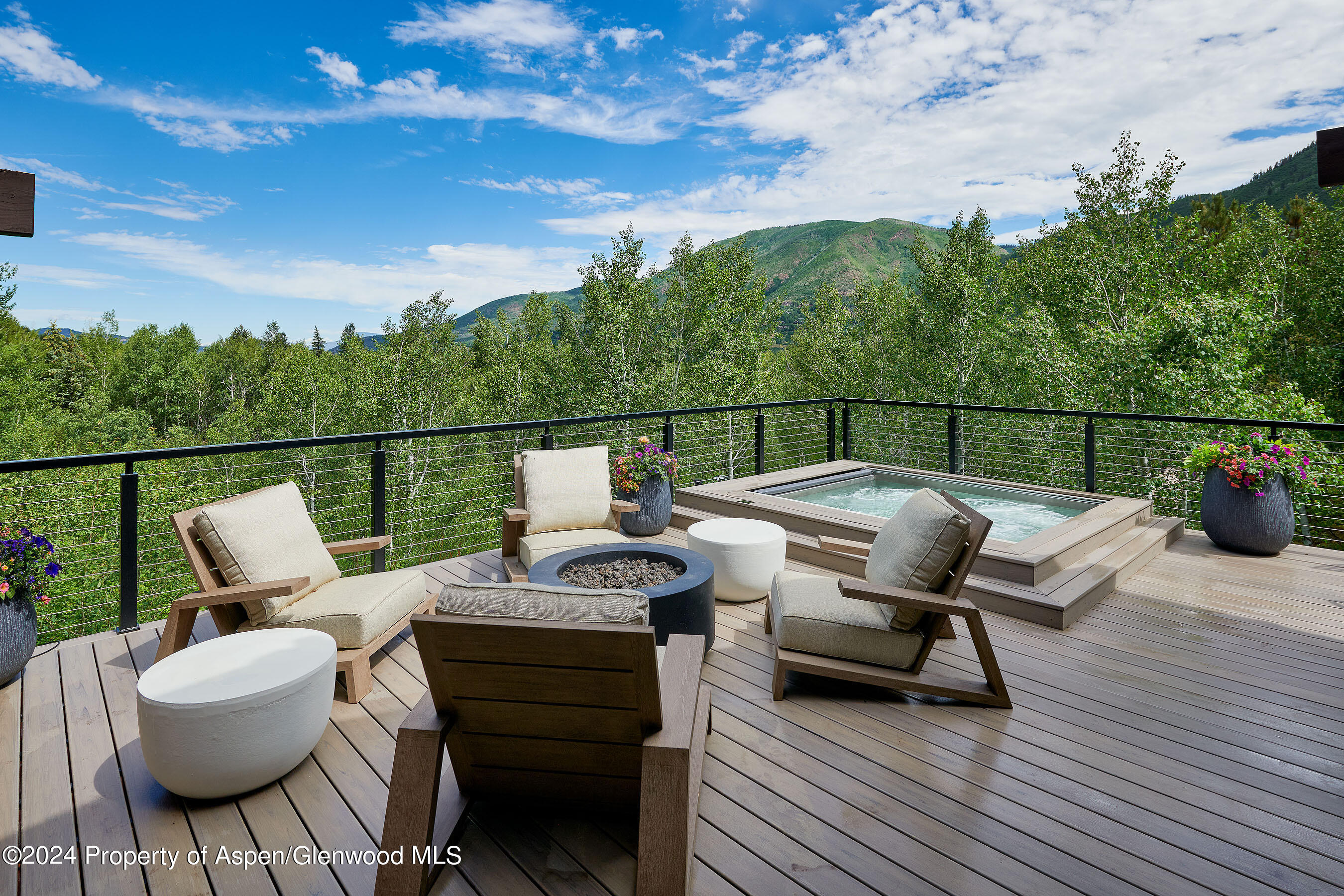 1271 Ute Avenue Aspen CO 81611