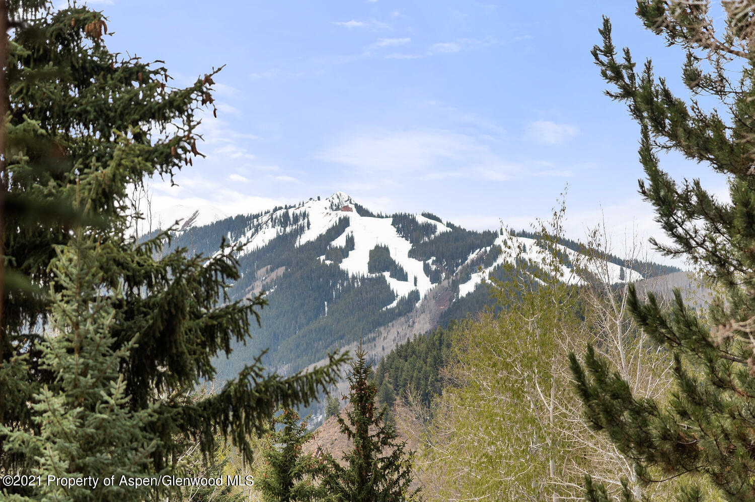 763 Willoughby Way Aspen CO 81611